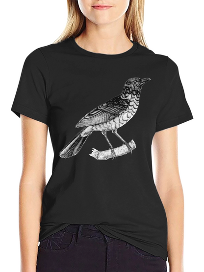 Mens Bird Print Black T-Shirt