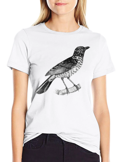 Mens Bird Print Black T-Shirt