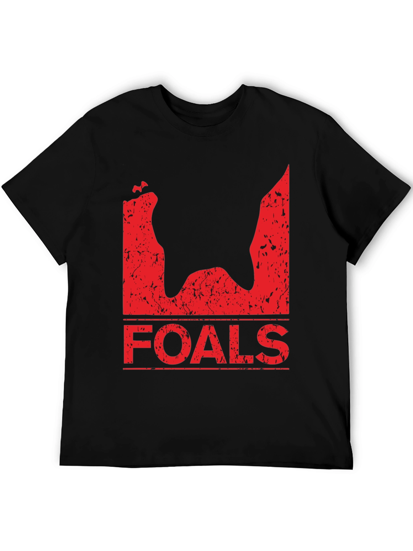 Foals Band T-Shirt - Black Distressed Graphic