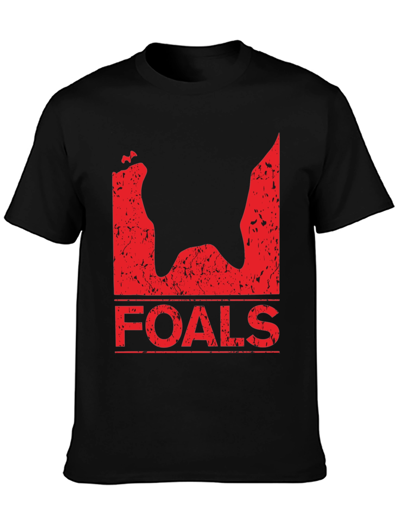 Foals Band T-Shirt - Black Distressed Graphic