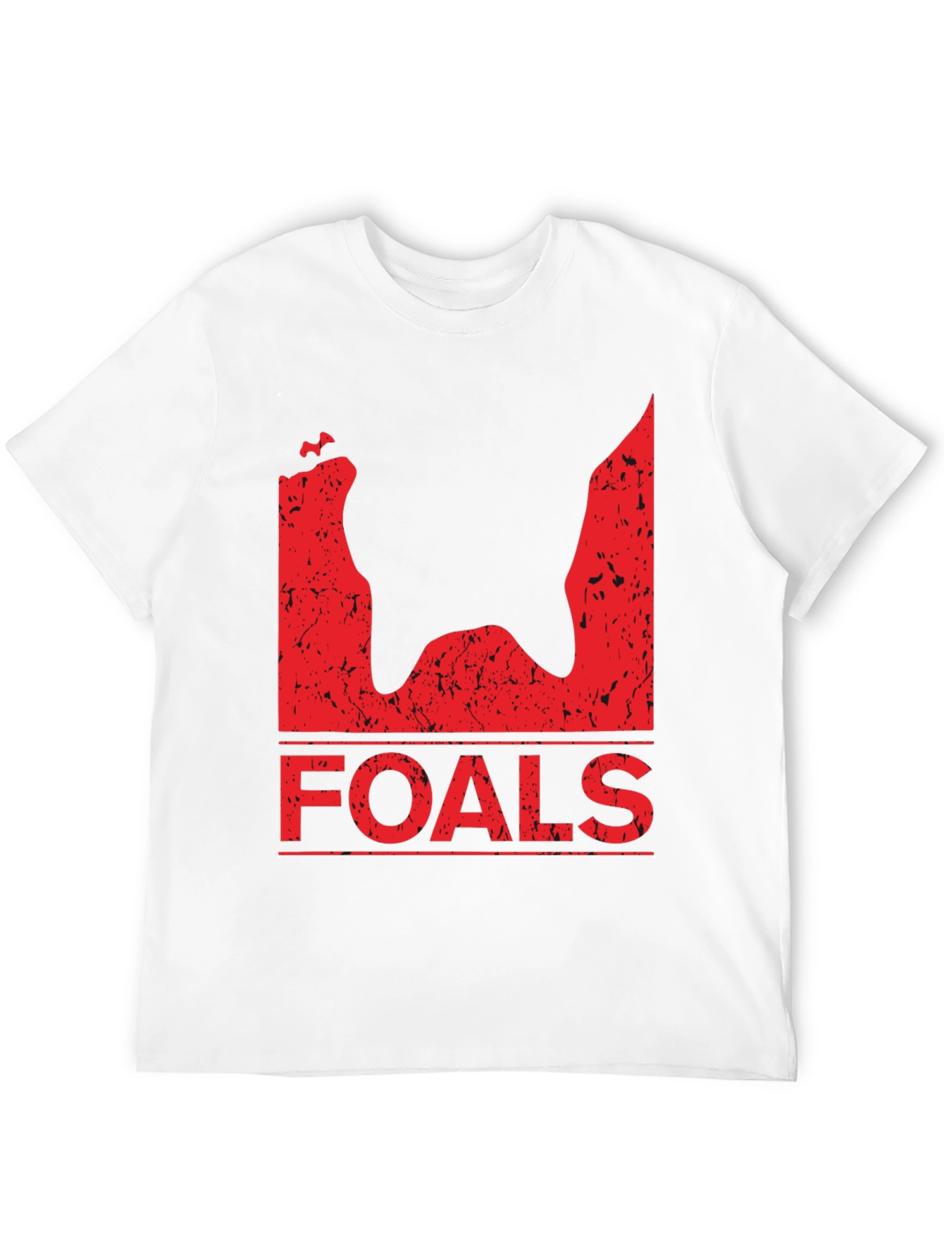 Foals Band T-Shirt - Black Distressed Graphic