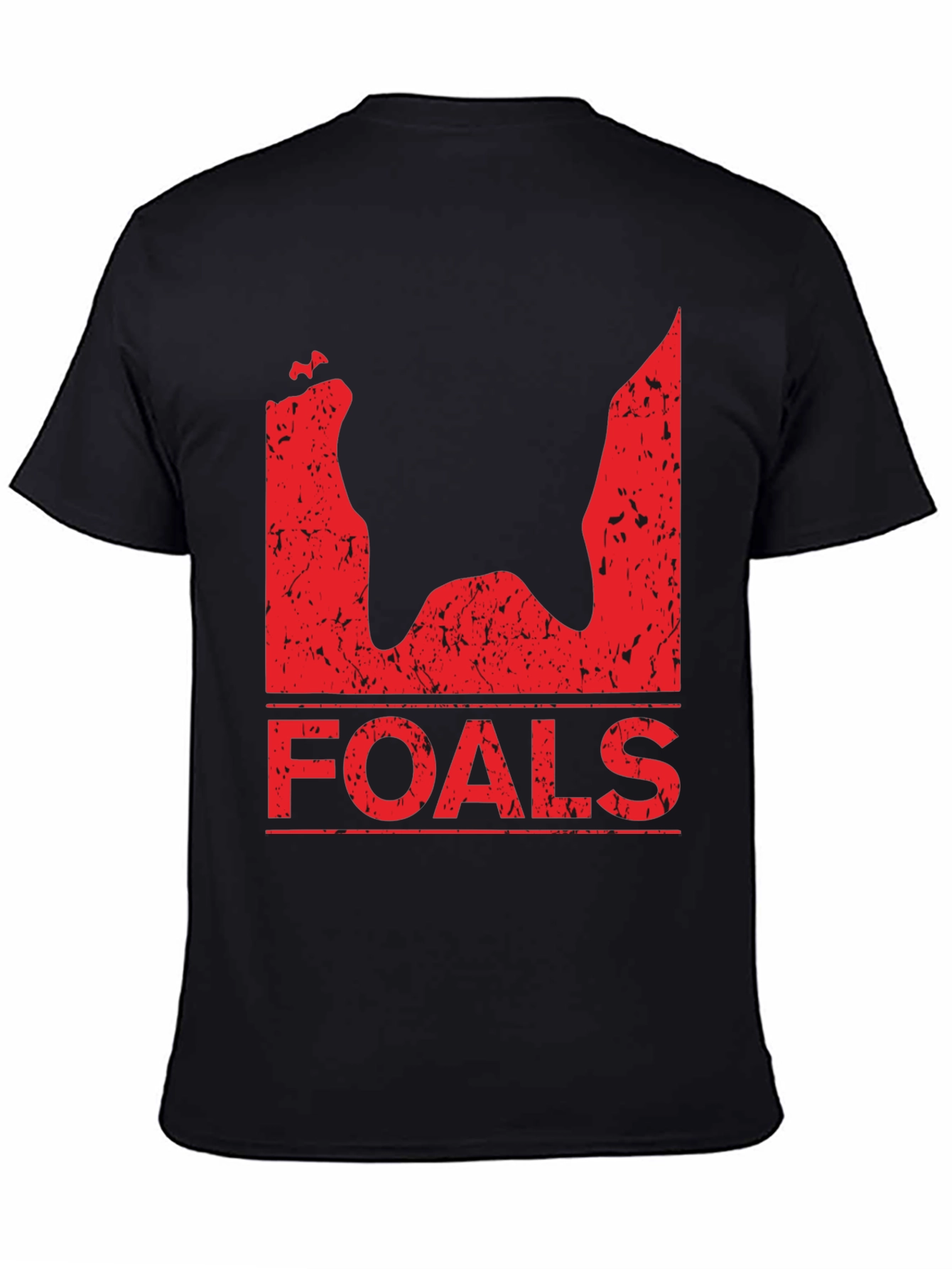 Foals Band T-Shirt - Black Distressed Graphic