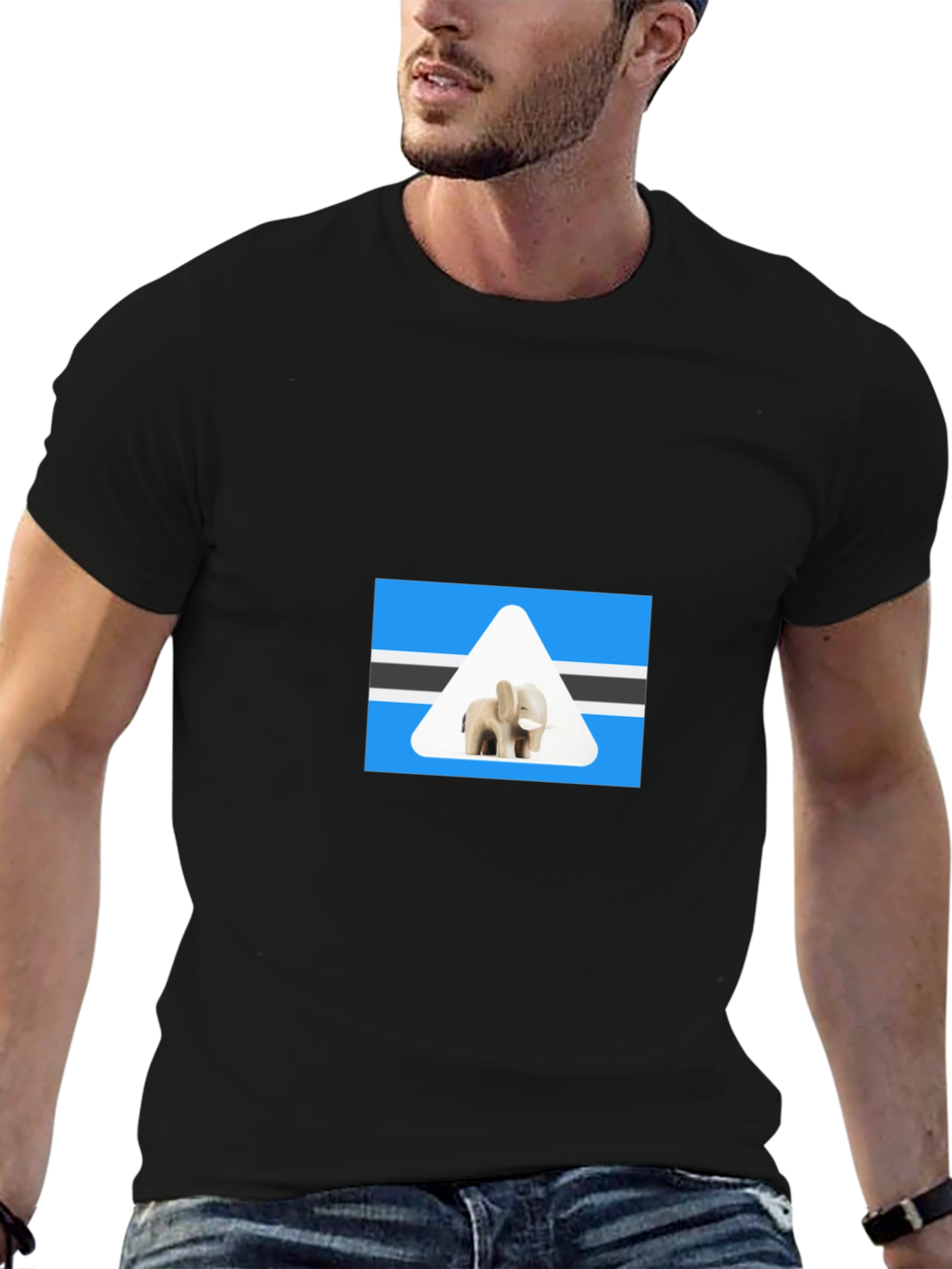 Botswana Elephant T-Shirt - Black Cotton Tee