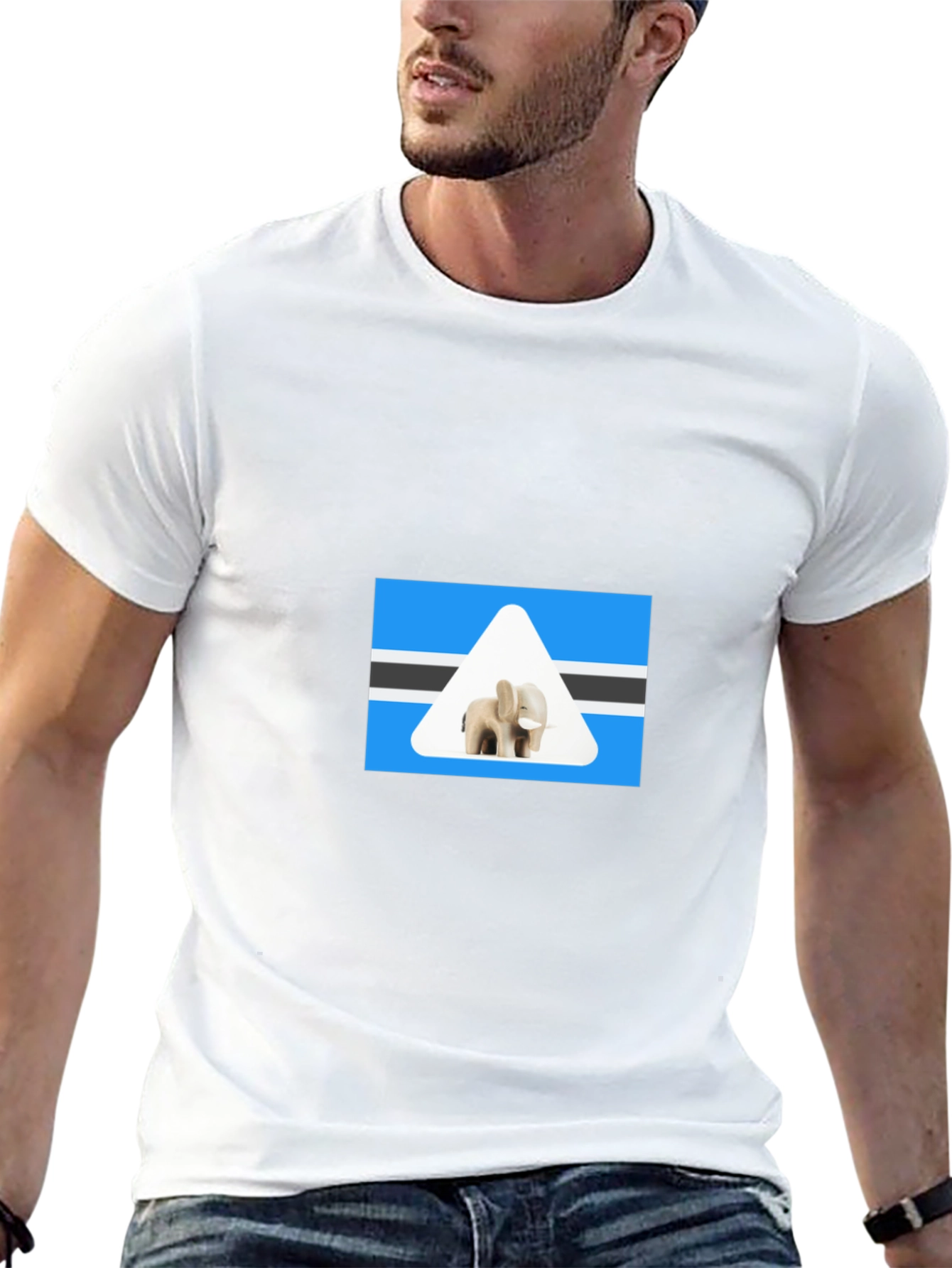 Botswana Elephant T-Shirt - Black Cotton Tee