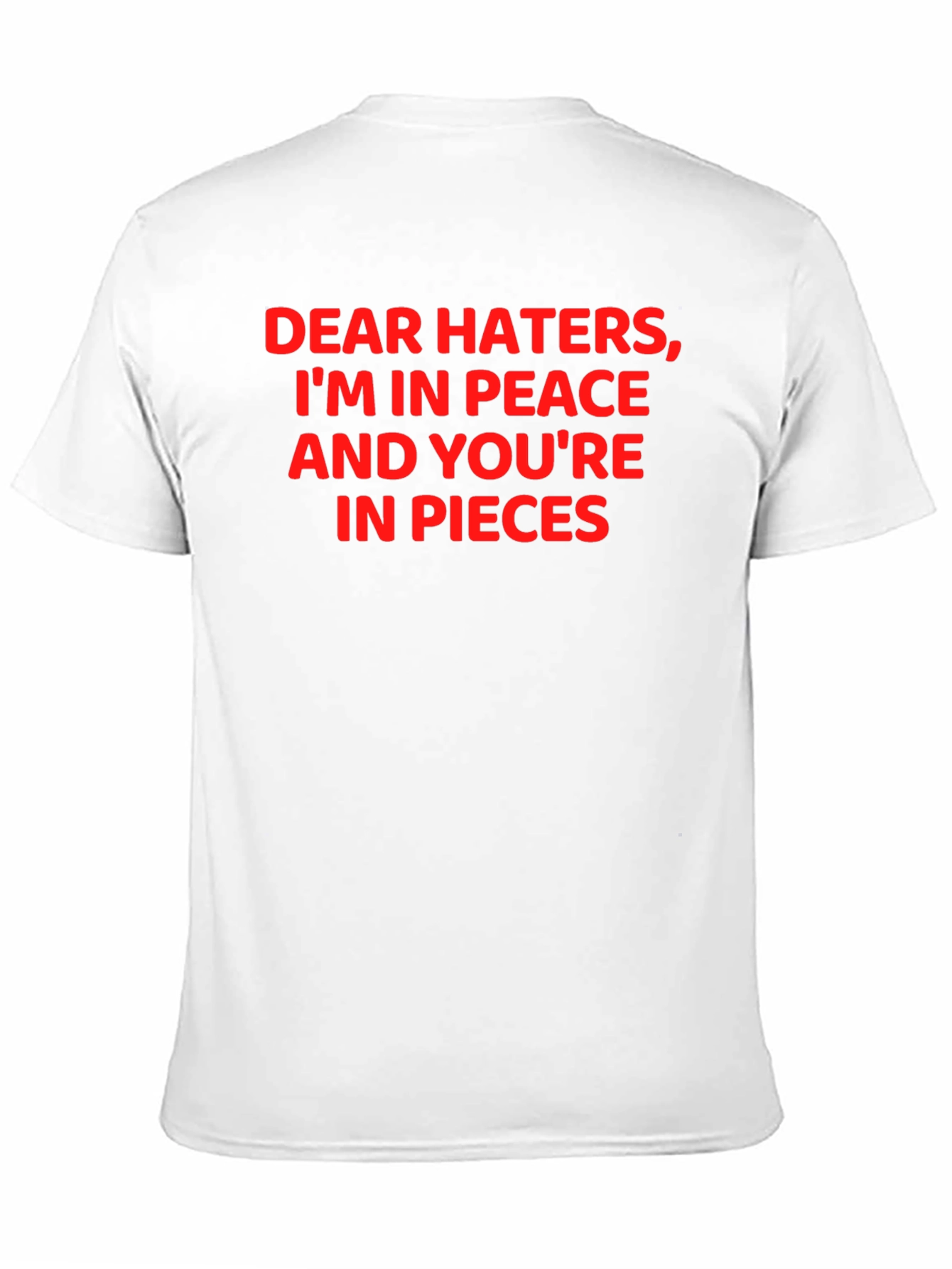 Dear Haters Funny Graphic T-Shirt