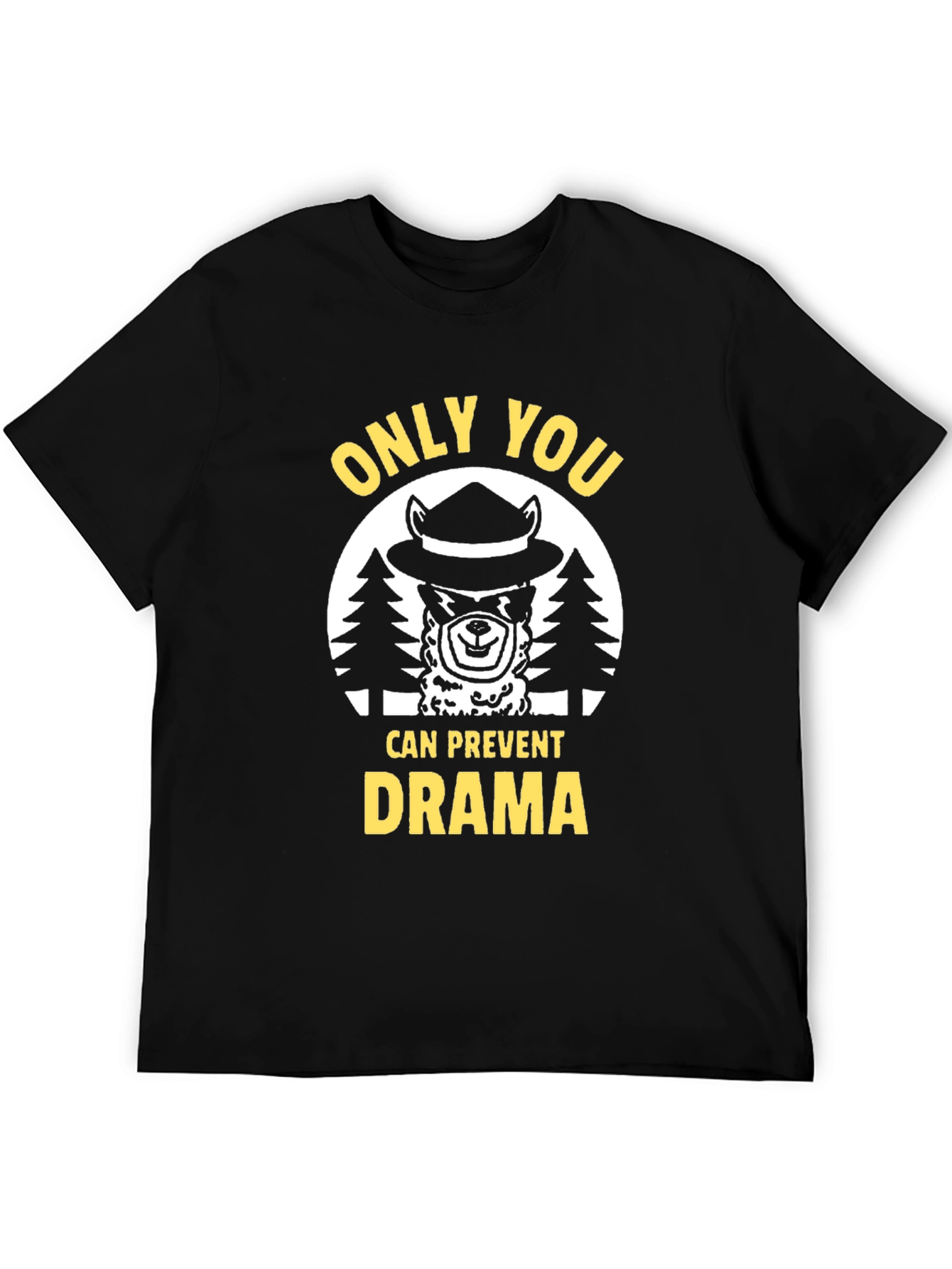 Only You Can Prevent Drama Graphic T-Shirt