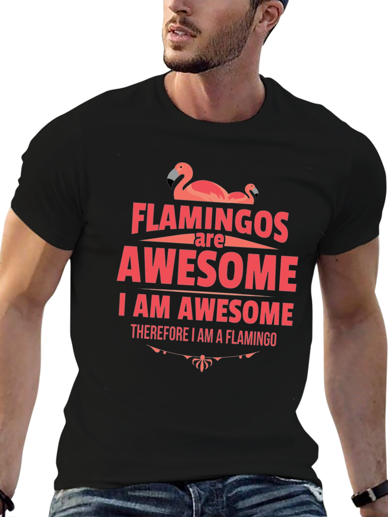 Flamingos Are Awesome Graphic T-Shirt