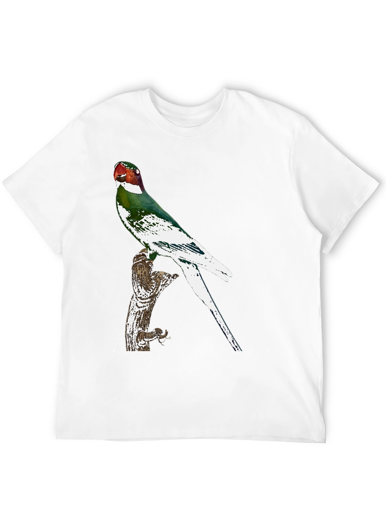 Parrot Graphic Tee - Black Cotton T-Shirt