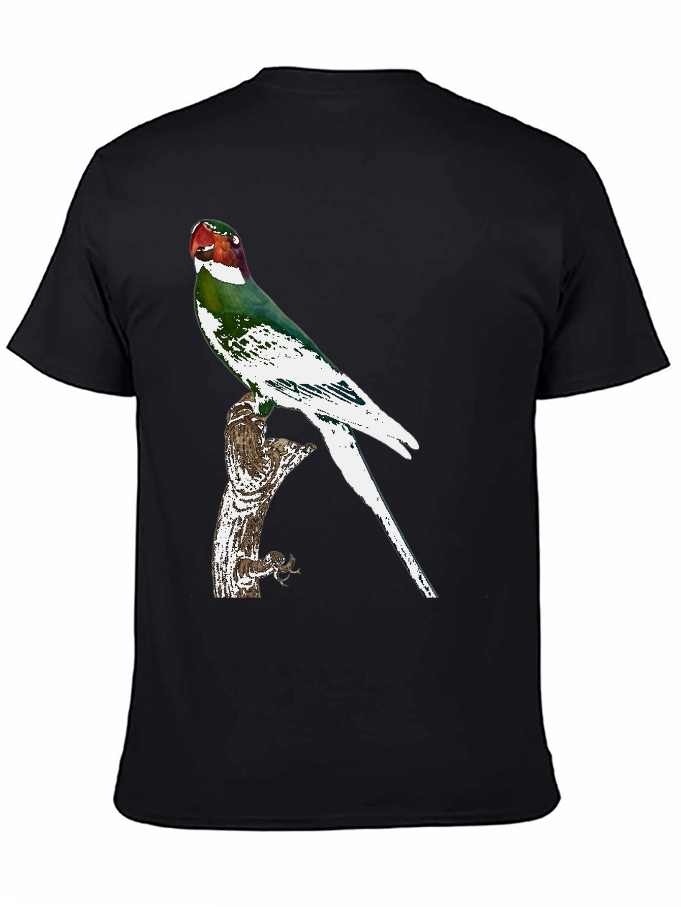Parrot Graphic Tee - Black Cotton T-Shirt