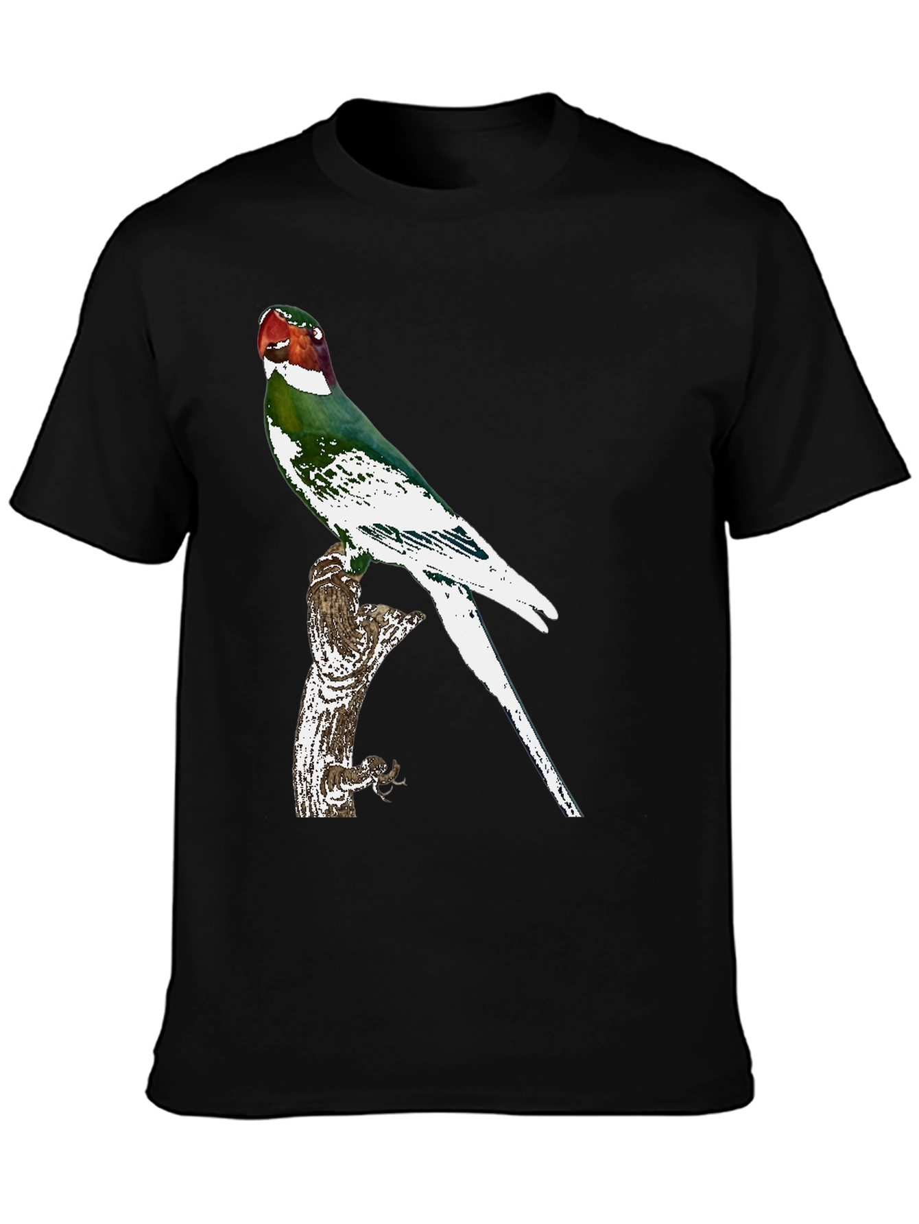 Parrot Graphic Tee - Black Cotton T-Shirt