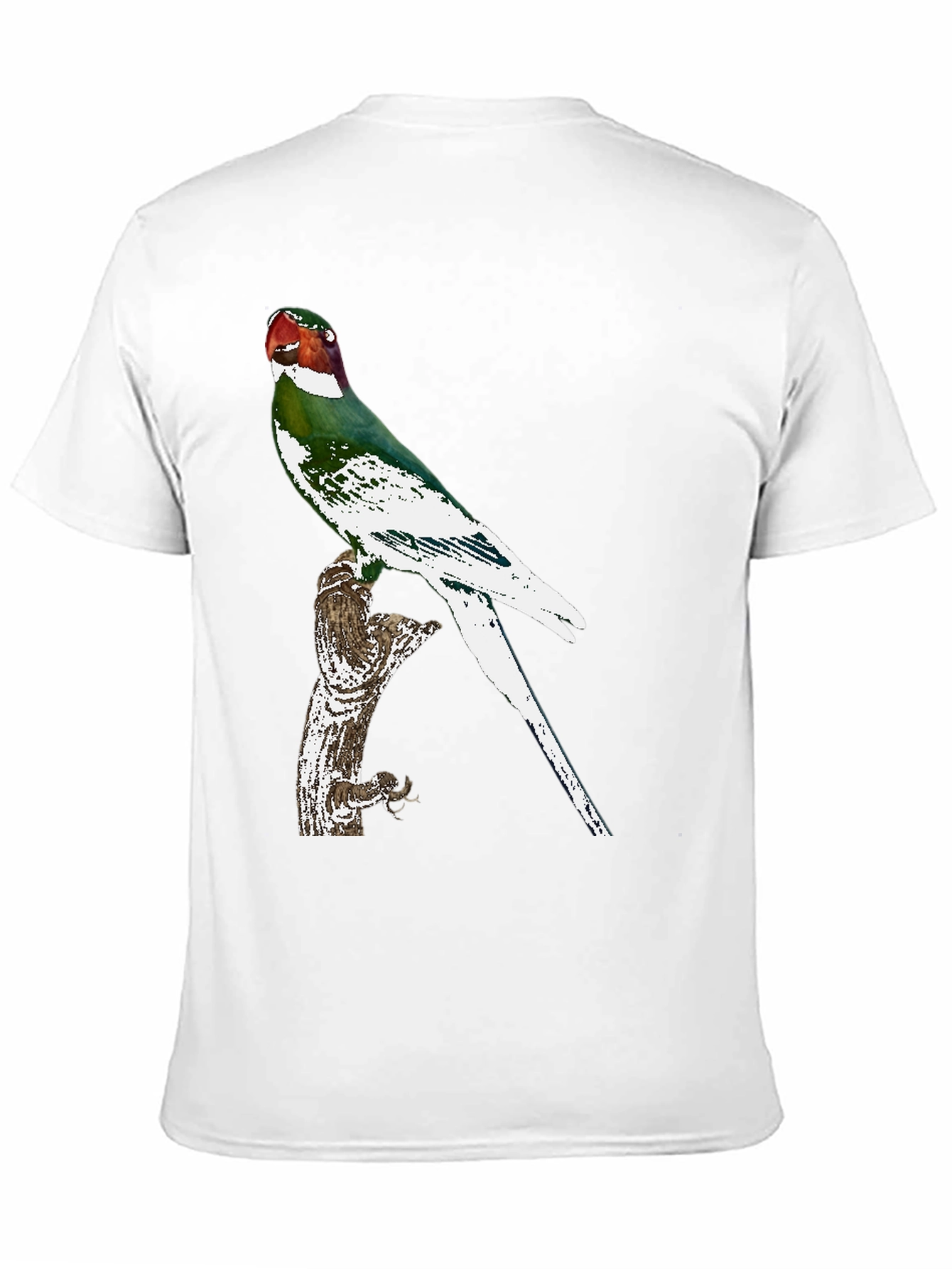 Parrot Graphic Tee - Black Cotton T-Shirt