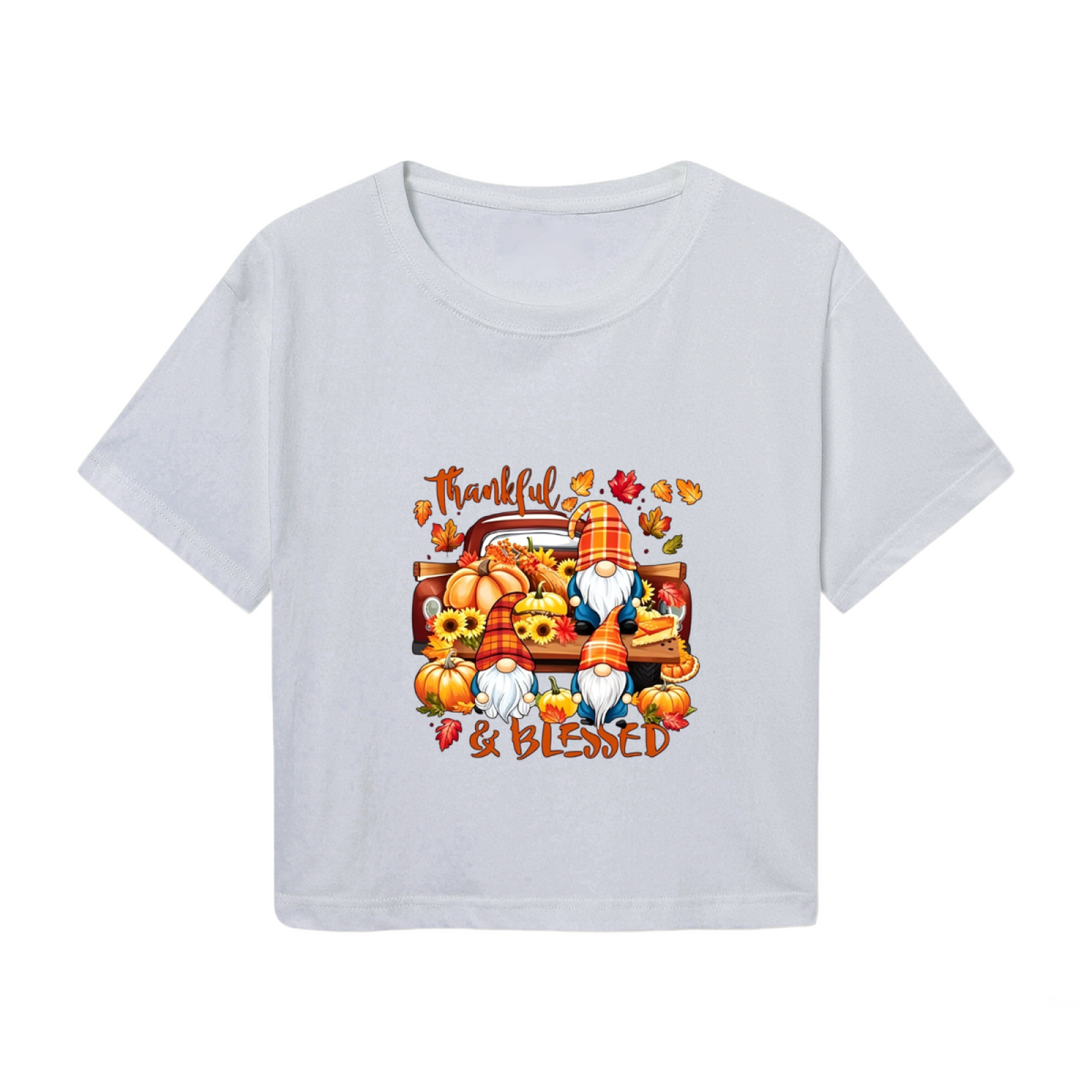 Thankful & Blessed Gnome Pumpkin Truck Fall Thanksgiving Cropped Tee