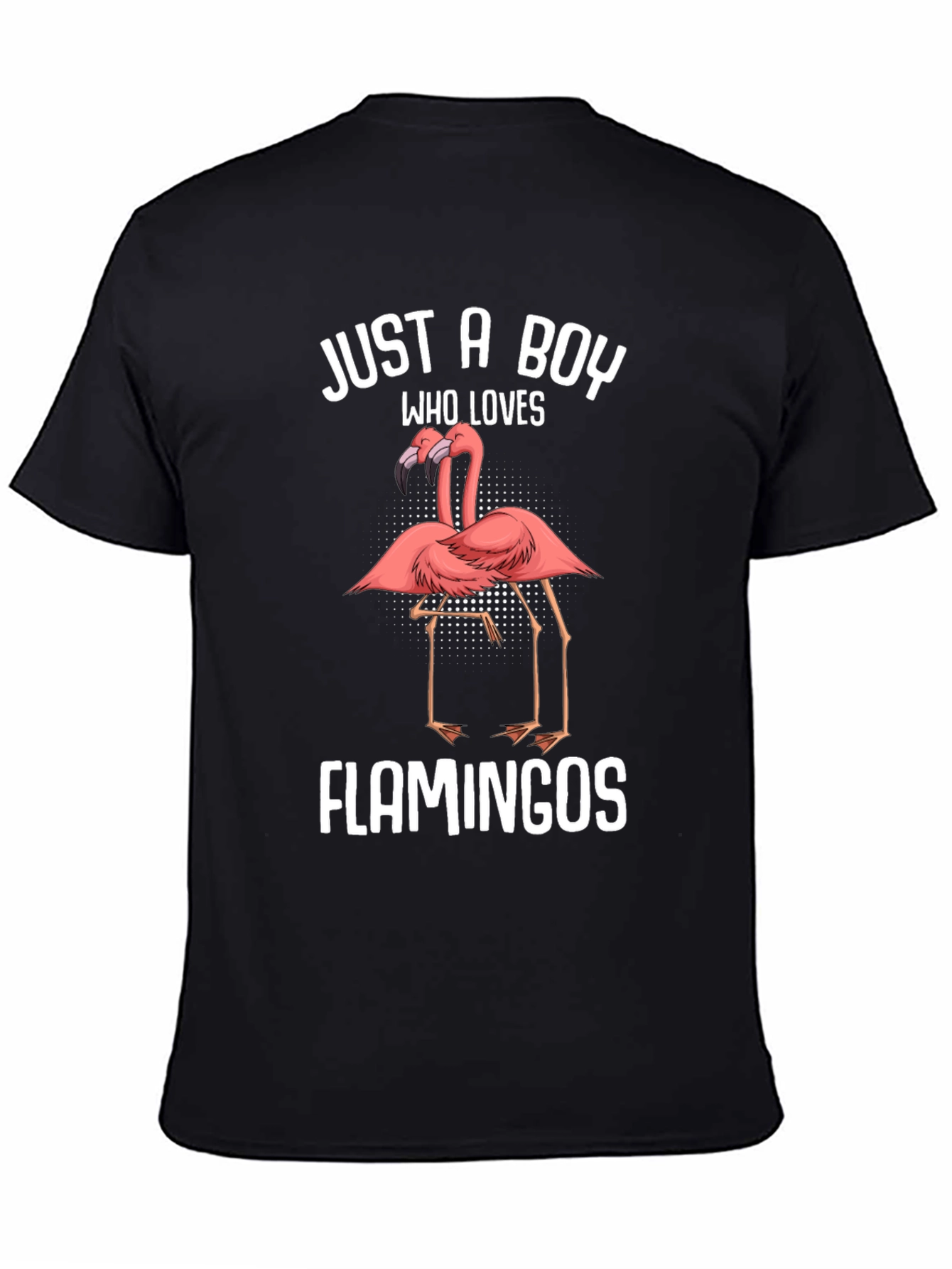 Just A Boy Who Loves Flamingos T-Shirt