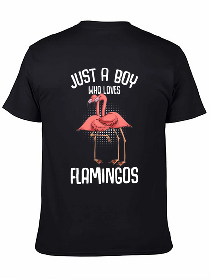 Just A Boy Who Loves Flamingos T-Shirt