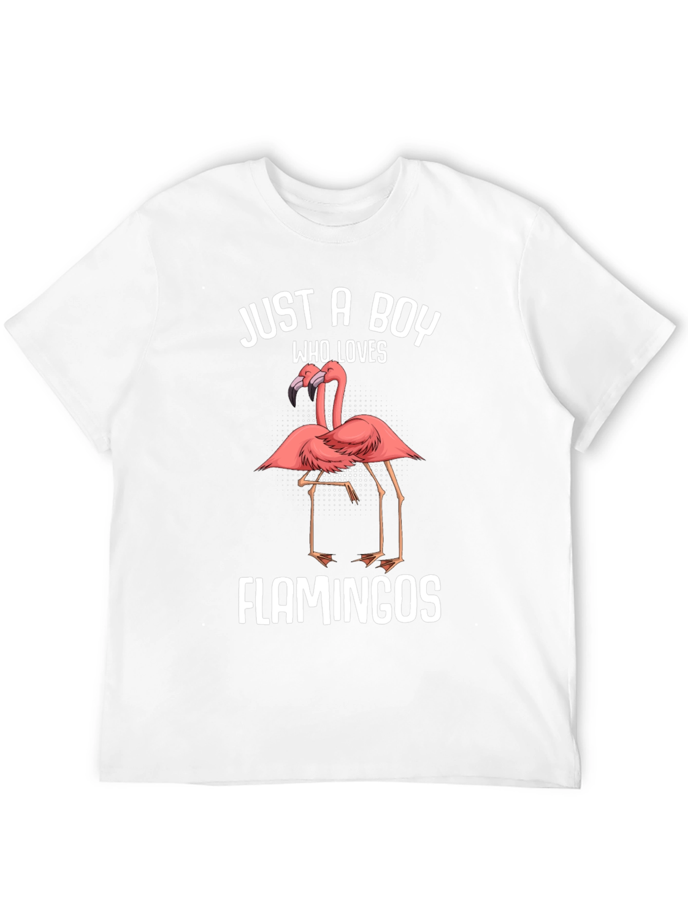 Just A Boy Who Loves Flamingos T-Shirt