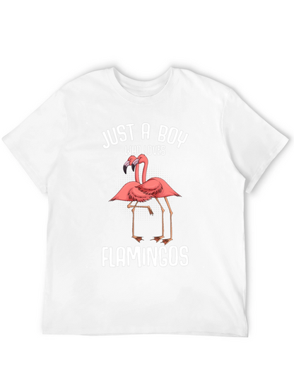 Just A Boy Who Loves Flamingos T-Shirt