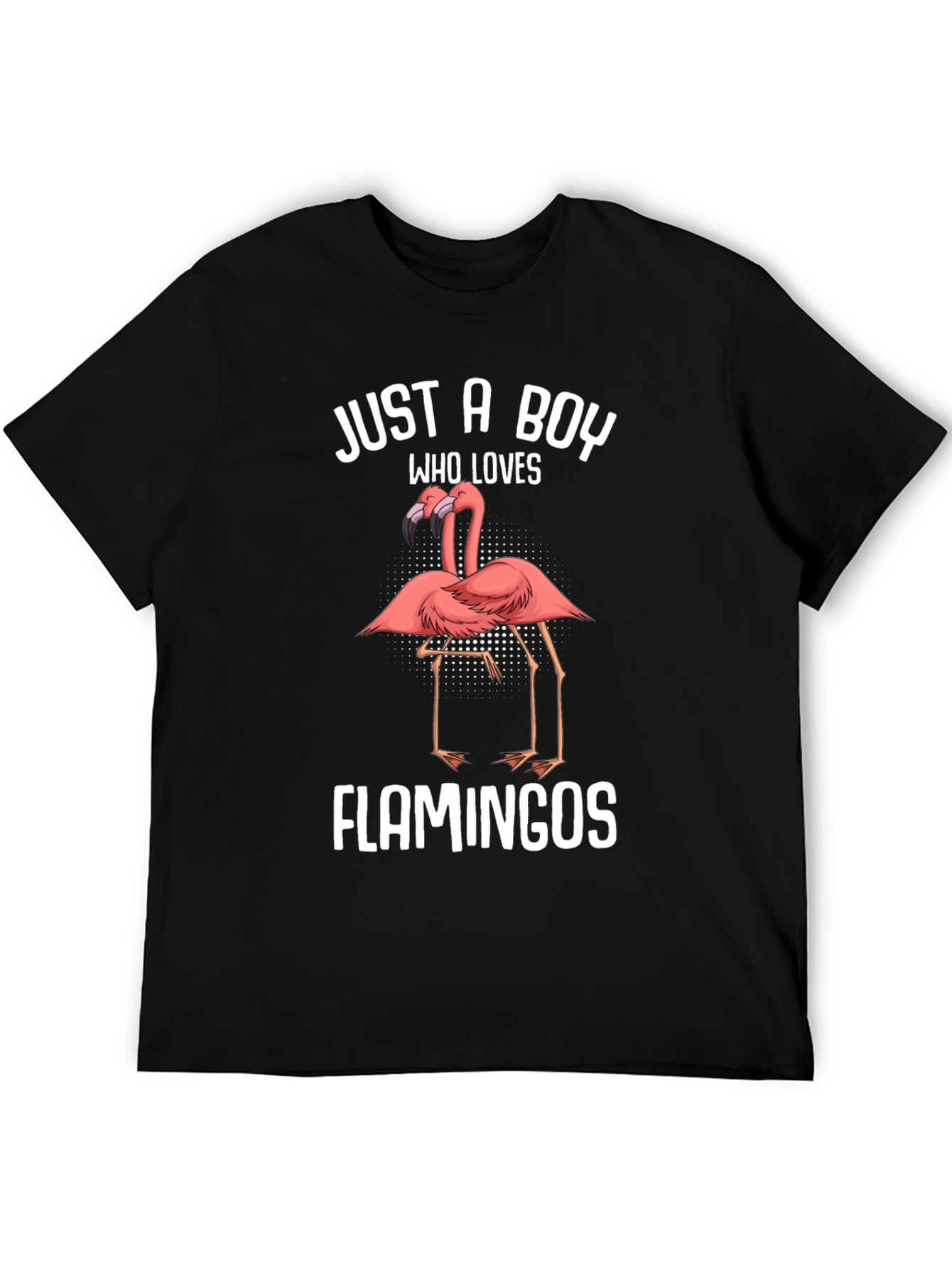 Just A Boy Who Loves Flamingos T-Shirt