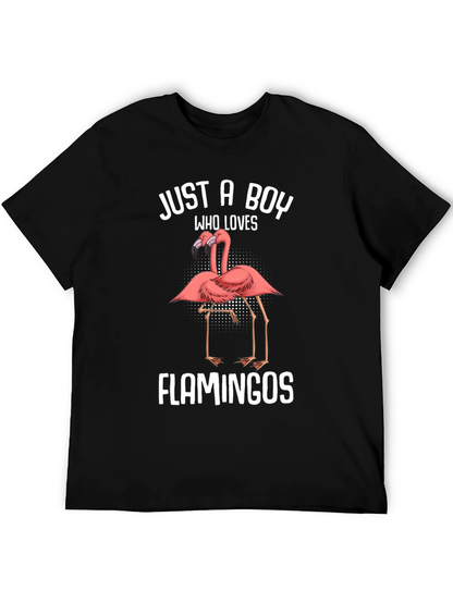 Just A Boy Who Loves Flamingos T-Shirt