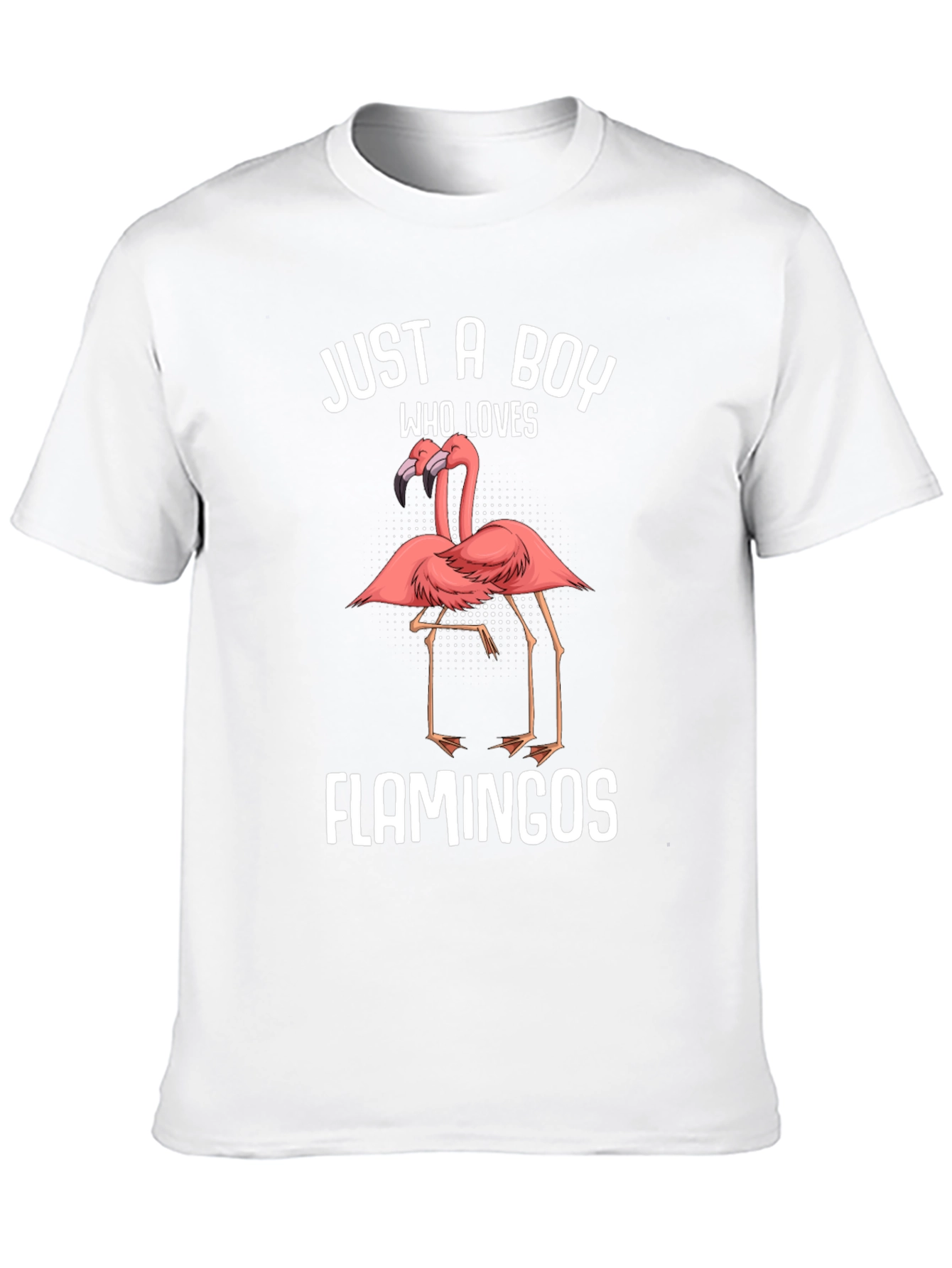 Just A Boy Who Loves Flamingos T-Shirt