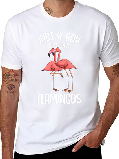 Just A Boy Who Loves Flamingos T-Shirt
