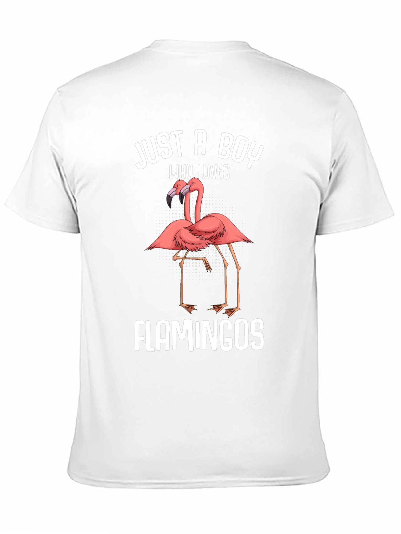 Just A Boy Who Loves Flamingos T-Shirt