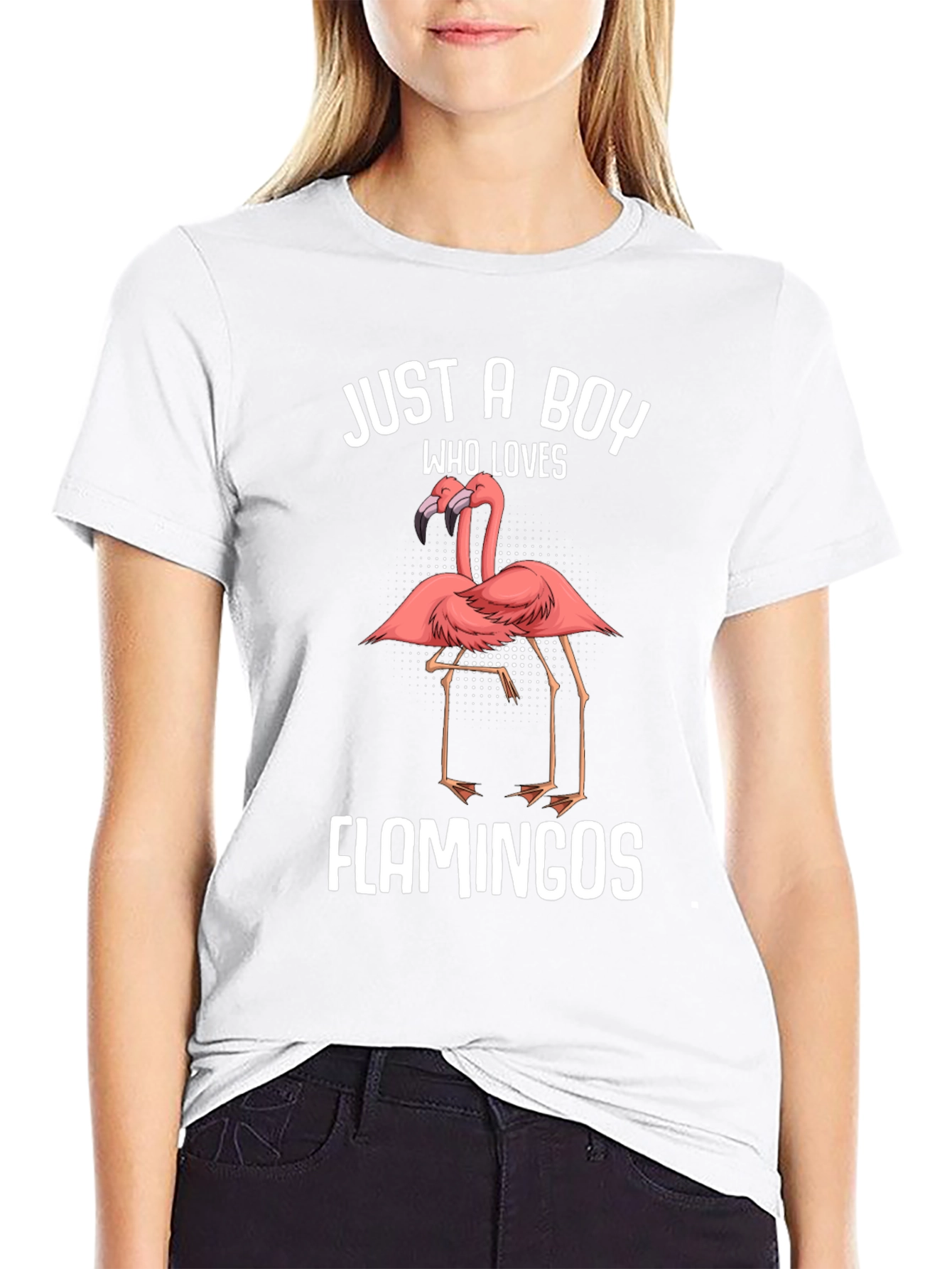 Just A Boy Who Loves Flamingos T-Shirt