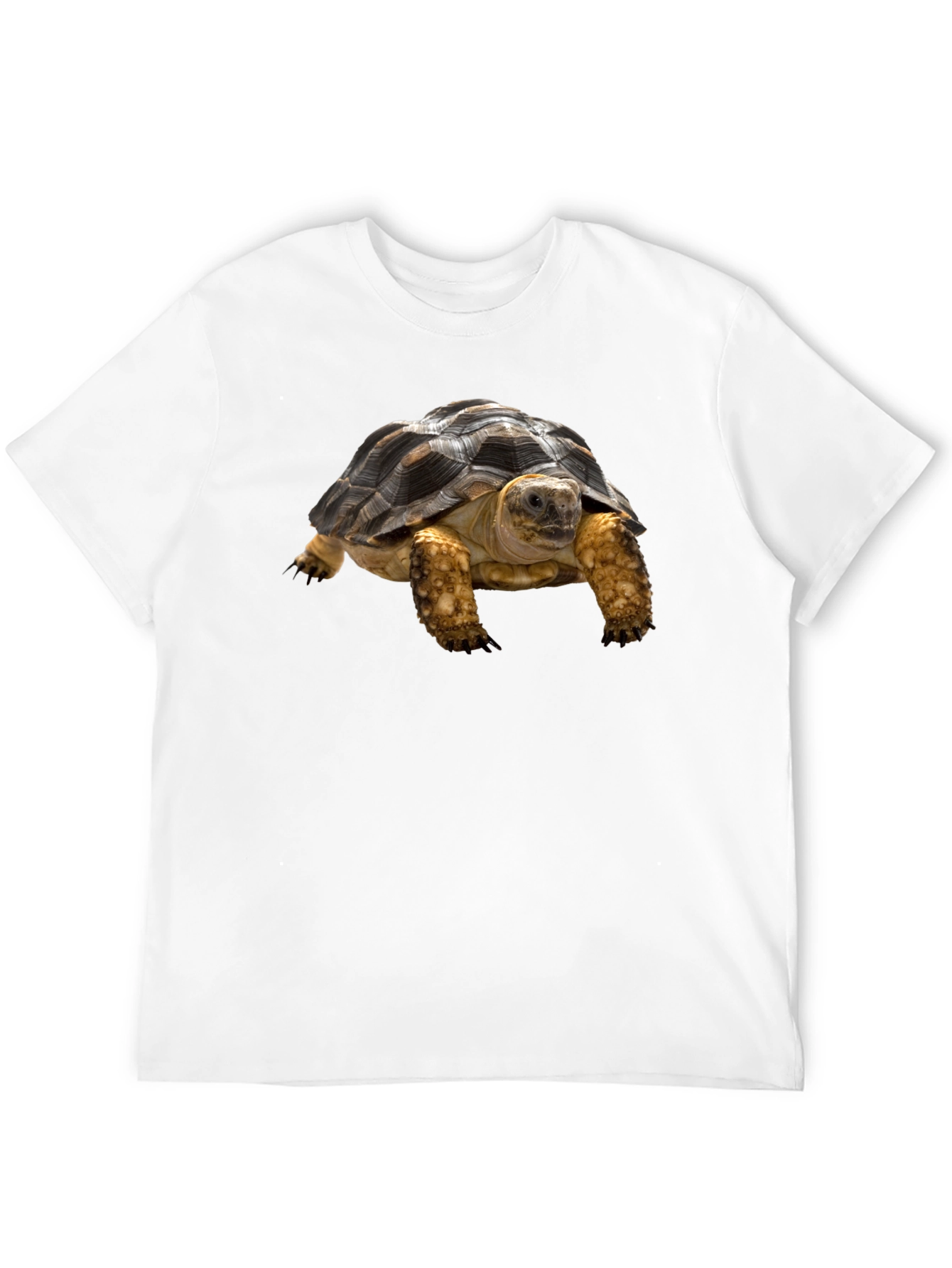 Tortoise T-Shirt - Unique Animal Graphic Tee