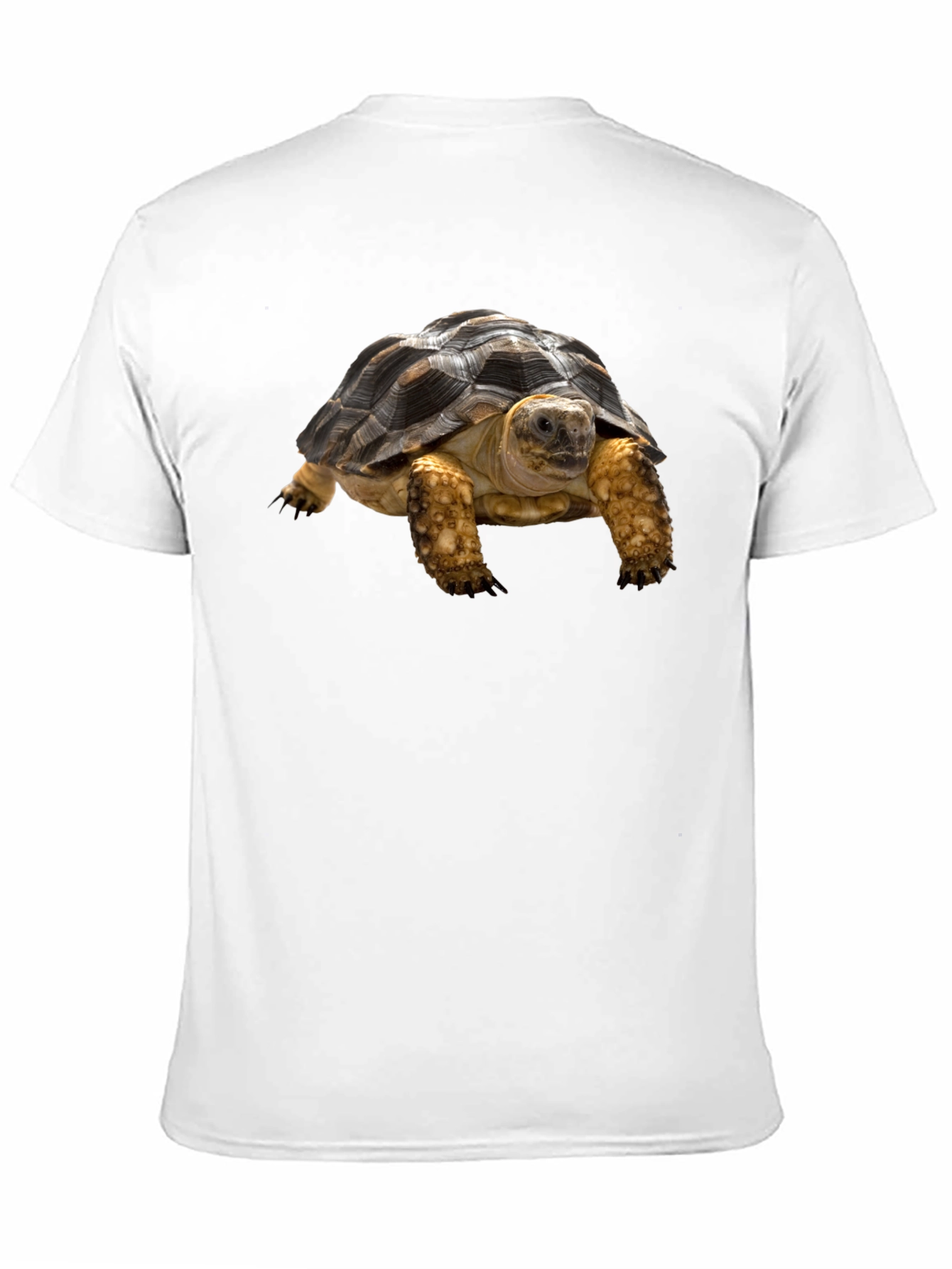 Tortoise T-Shirt - Unique Animal Graphic Tee