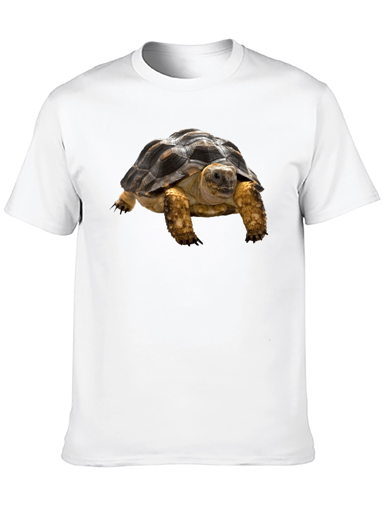 Tortoise T-Shirt - Unique Animal Graphic Tee