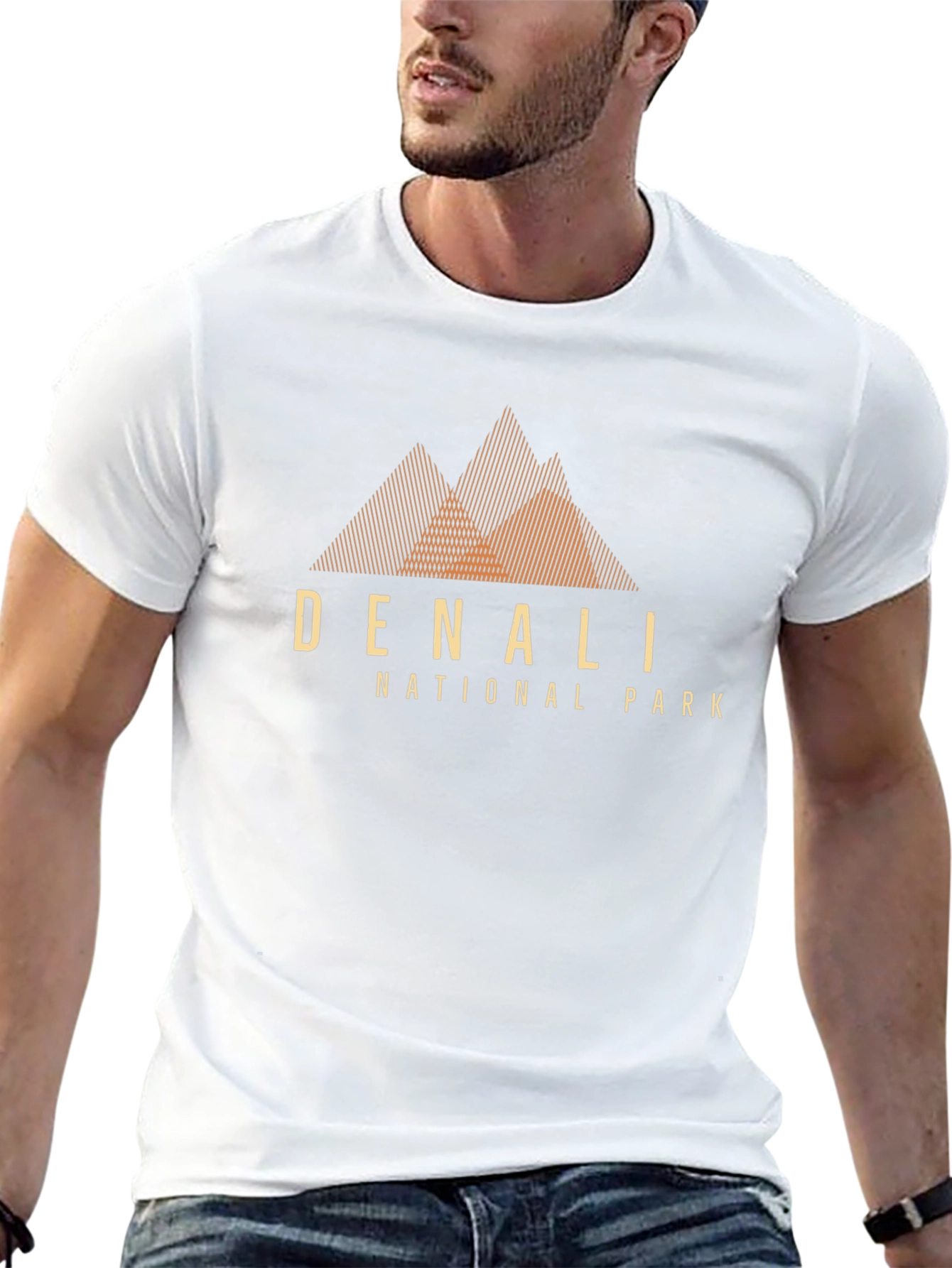 Denali National Park Graphic T-Shirt