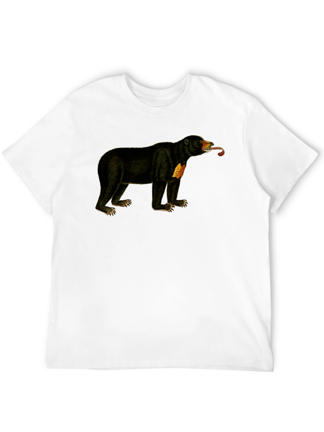 Sun Bear T-Shirt - Black Crew Neck Tee