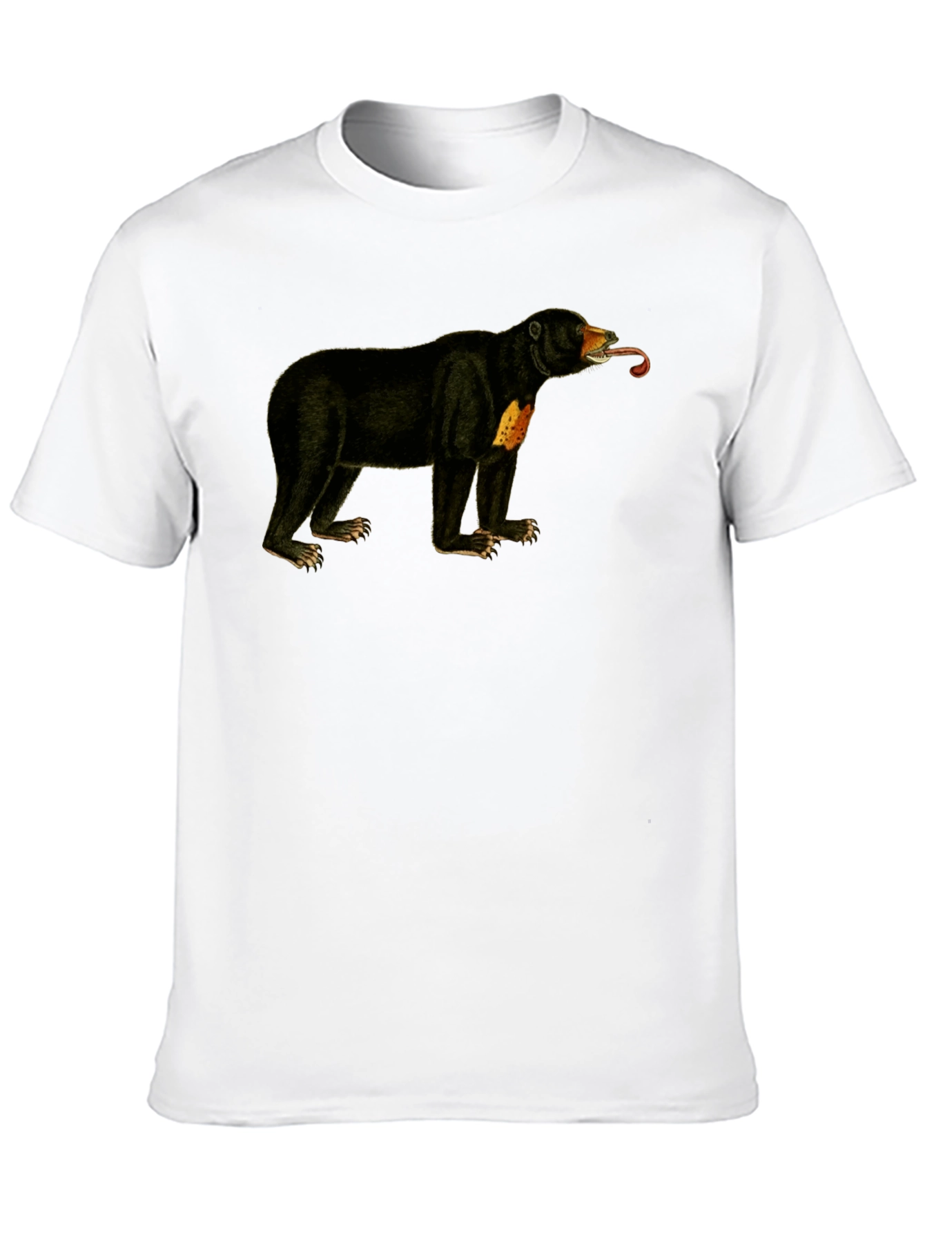 Sun Bear T-Shirt - Black Crew Neck Tee