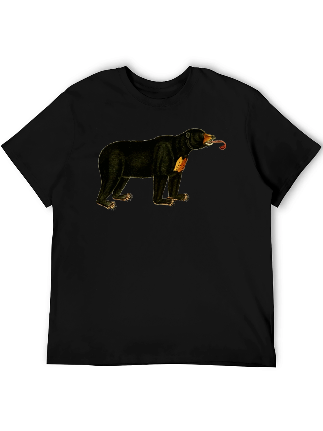 Sun Bear T-Shirt - Black Crew Neck Tee
