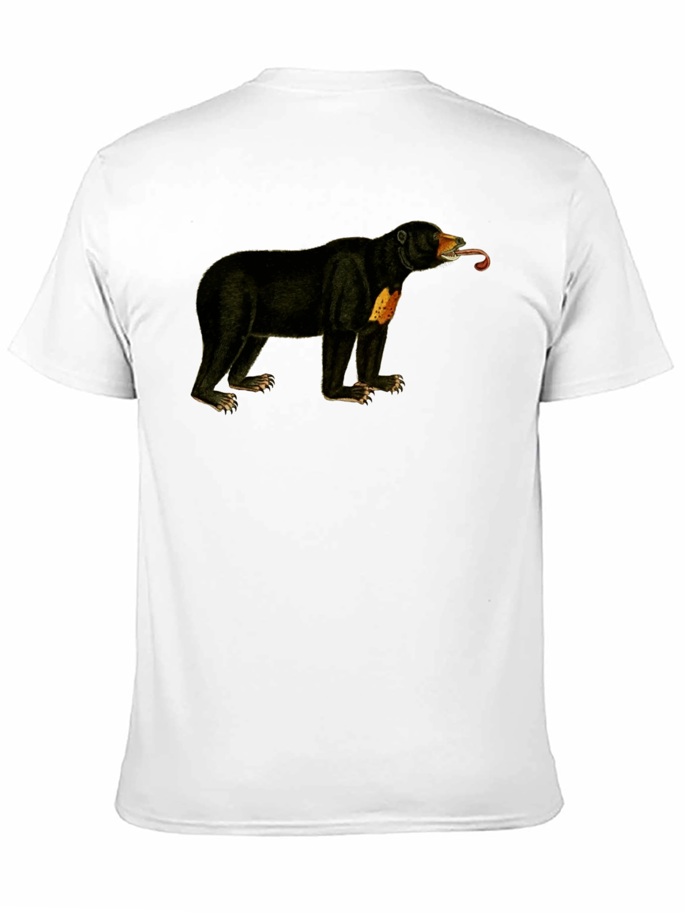 Sun Bear T-Shirt - Black Crew Neck Tee