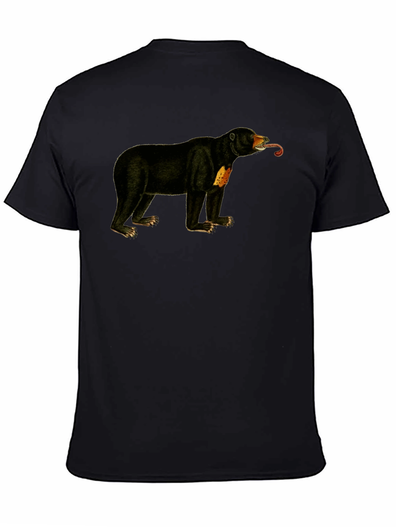 Sun Bear T-Shirt - Black Crew Neck Tee