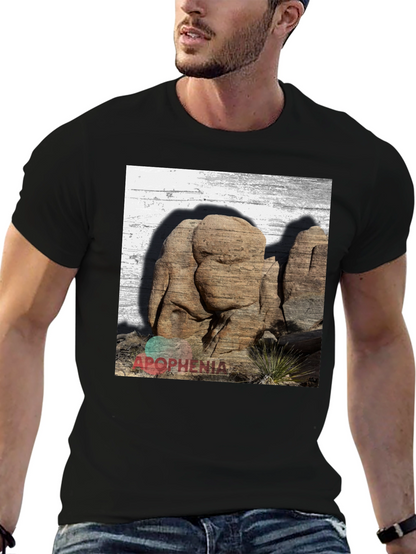 Apophenia Desert Rocks Graphic Tee - Black