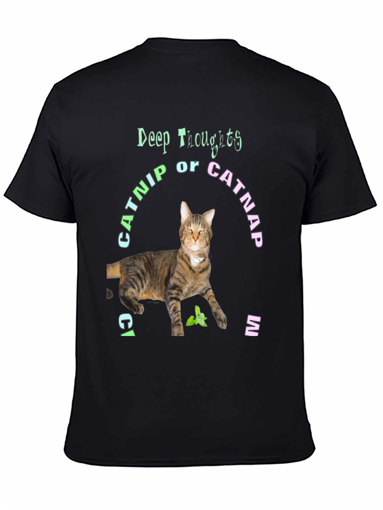 Deep Thoughts Catnip or Catnap T-Shirt