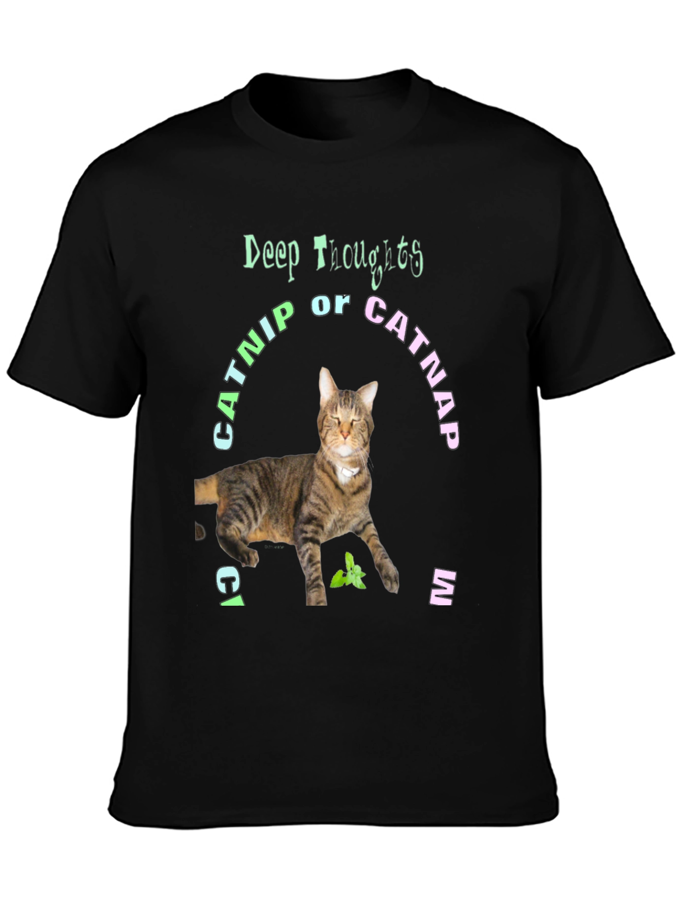 Deep Thoughts Catnip or Catnap T-Shirt
