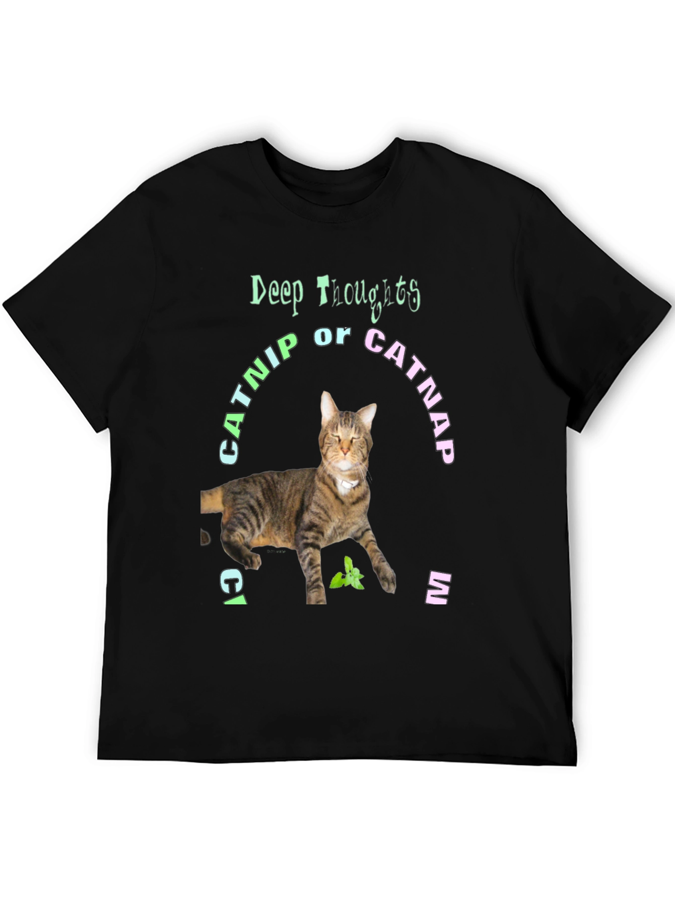 Deep Thoughts Catnip or Catnap T-Shirt