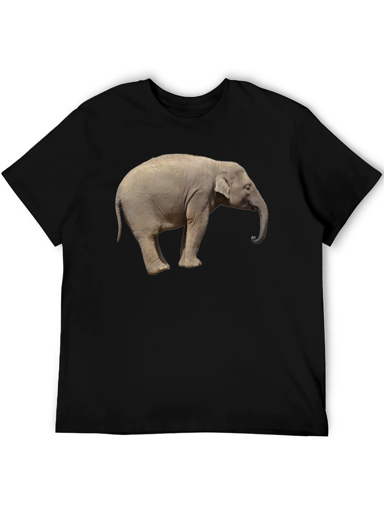 Elephant Graphic Tee - Cool Animal Print T-Shirt
