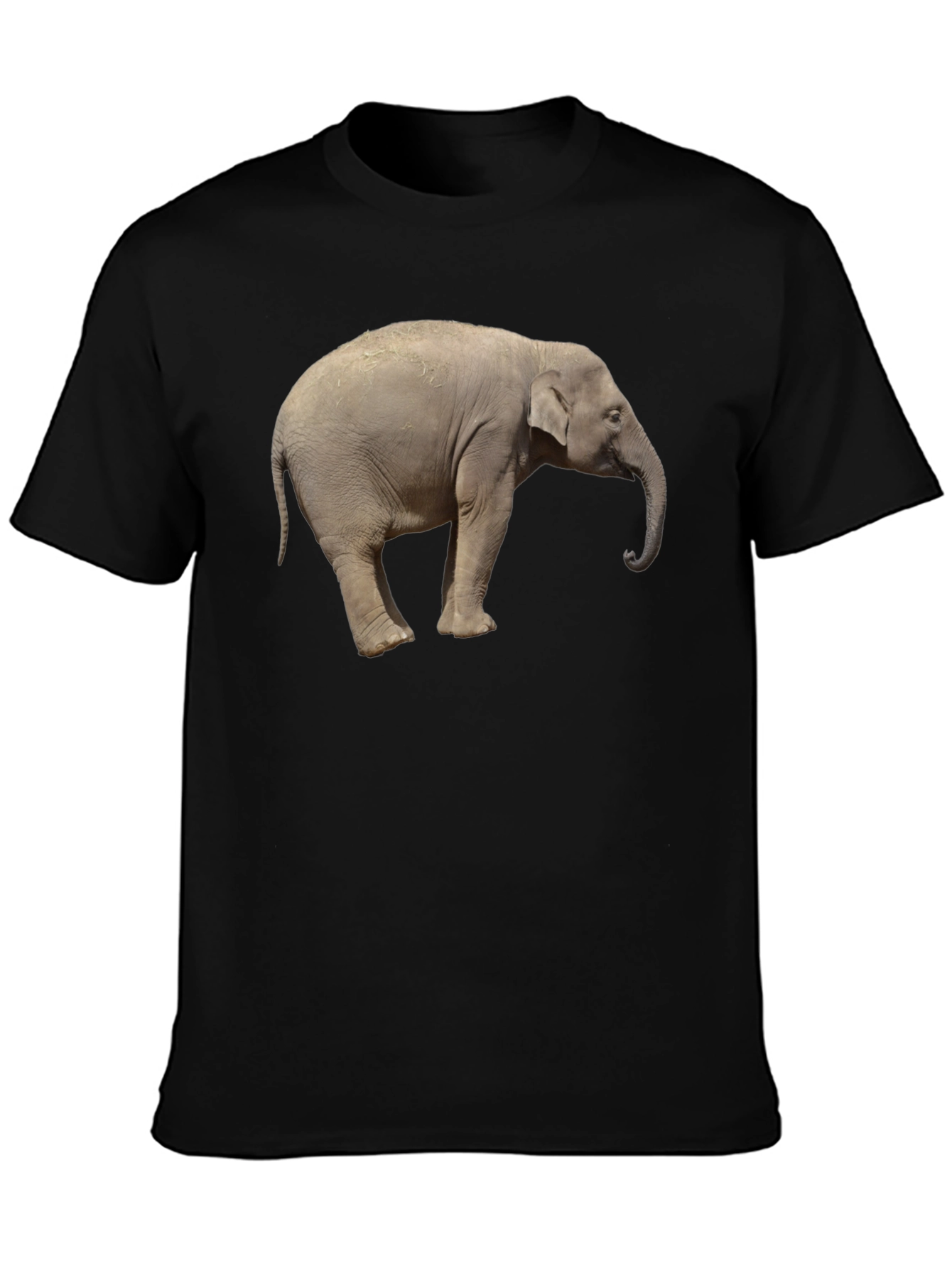 Elephant Graphic Tee - Cool Animal Print T-Shirt