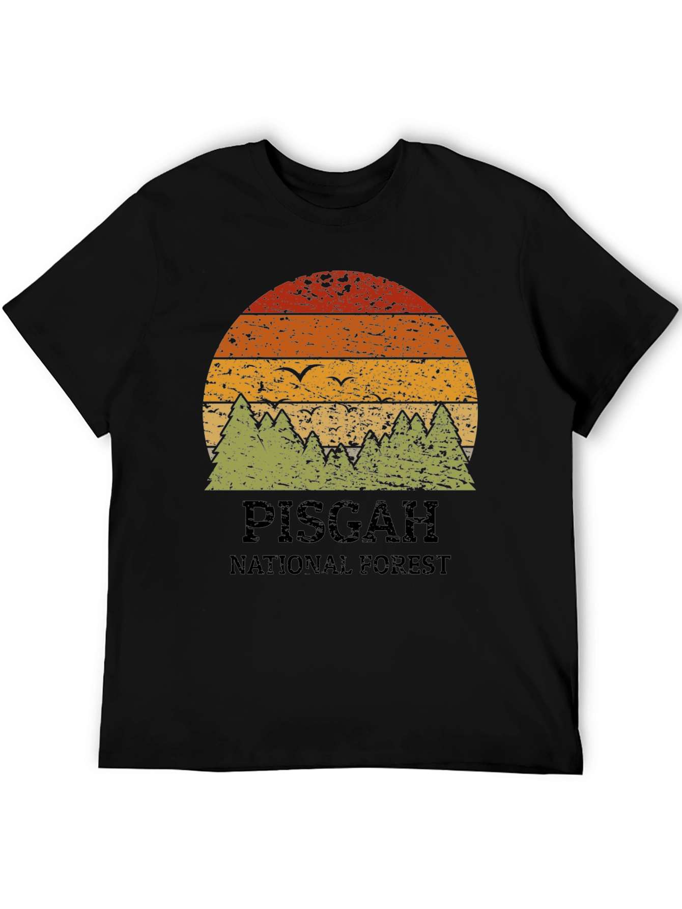 Pisgah National Forest Retro Graphic Tee