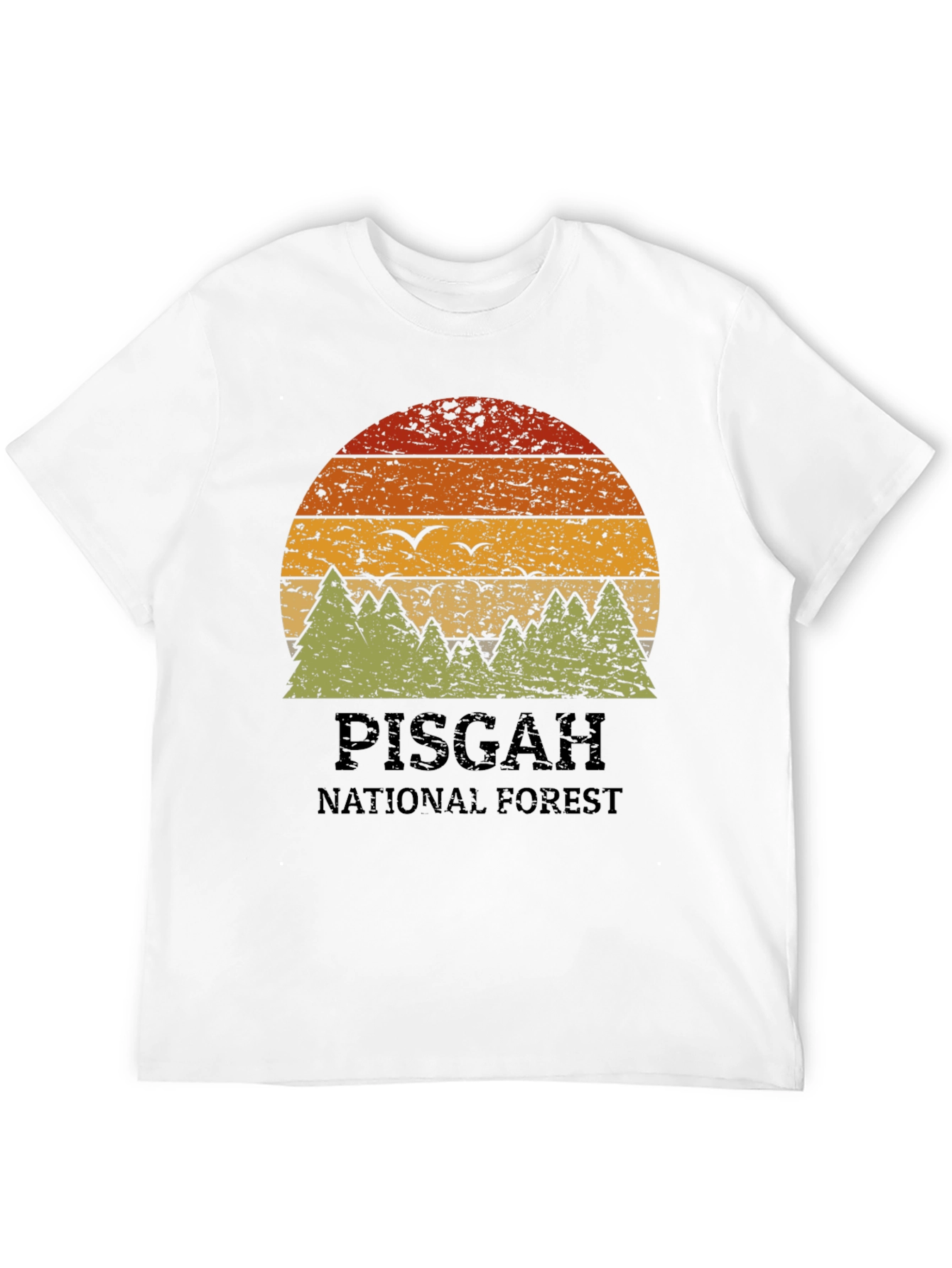 Pisgah National Forest Retro Graphic Tee