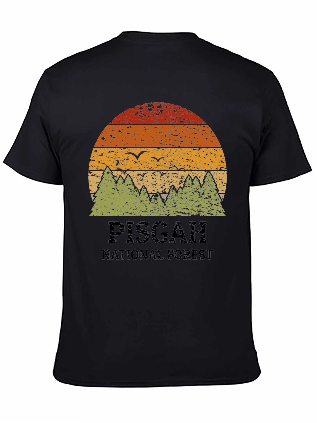 Pisgah National Forest Retro Graphic Tee