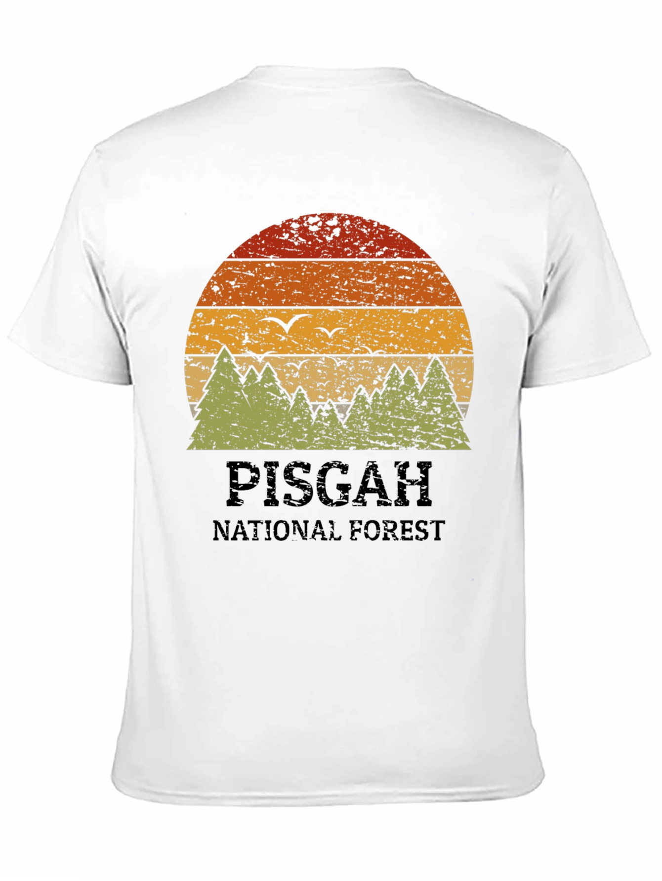 Pisgah National Forest Retro Graphic Tee