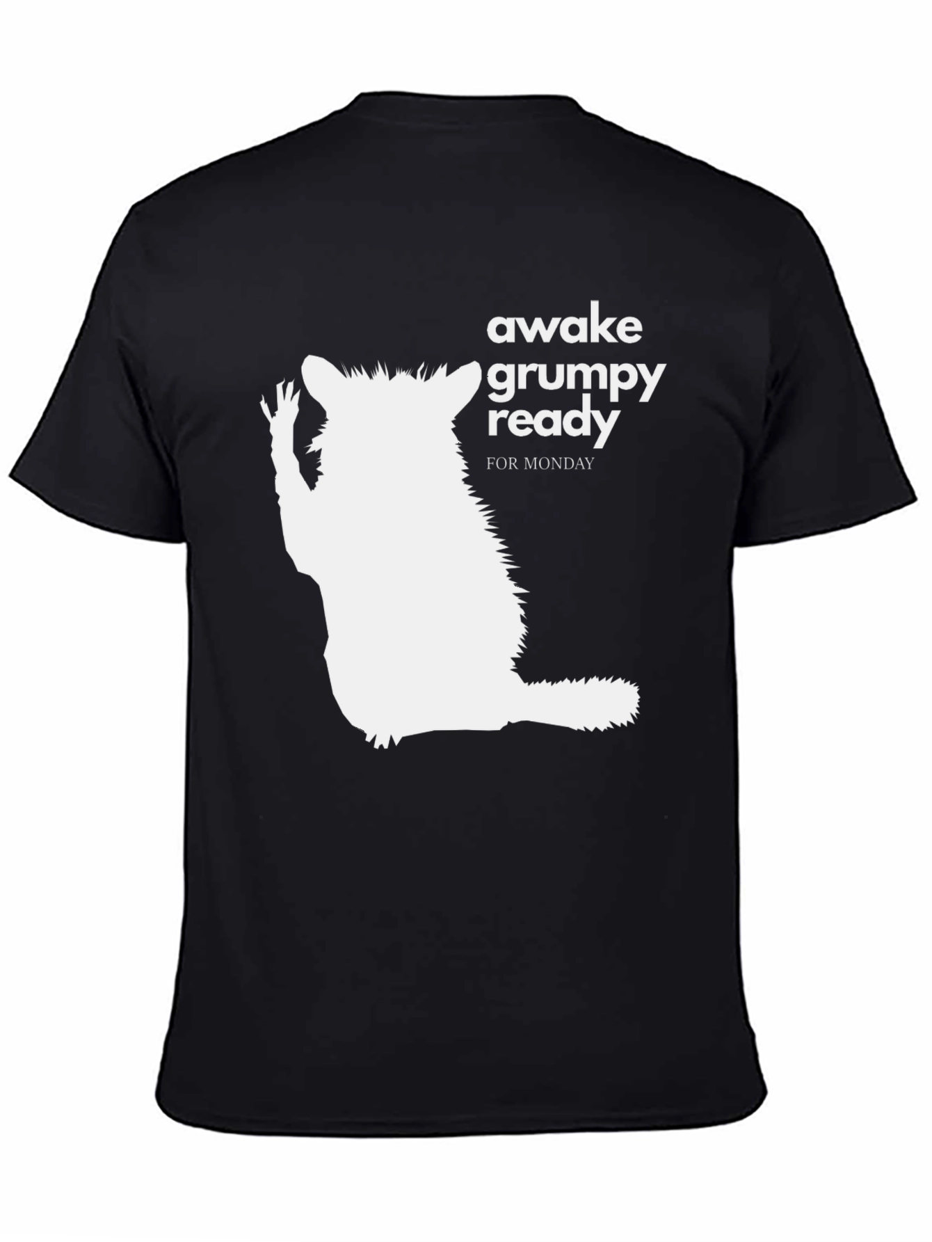 Awake Grumpy Ready for Monday Black T-Shirt