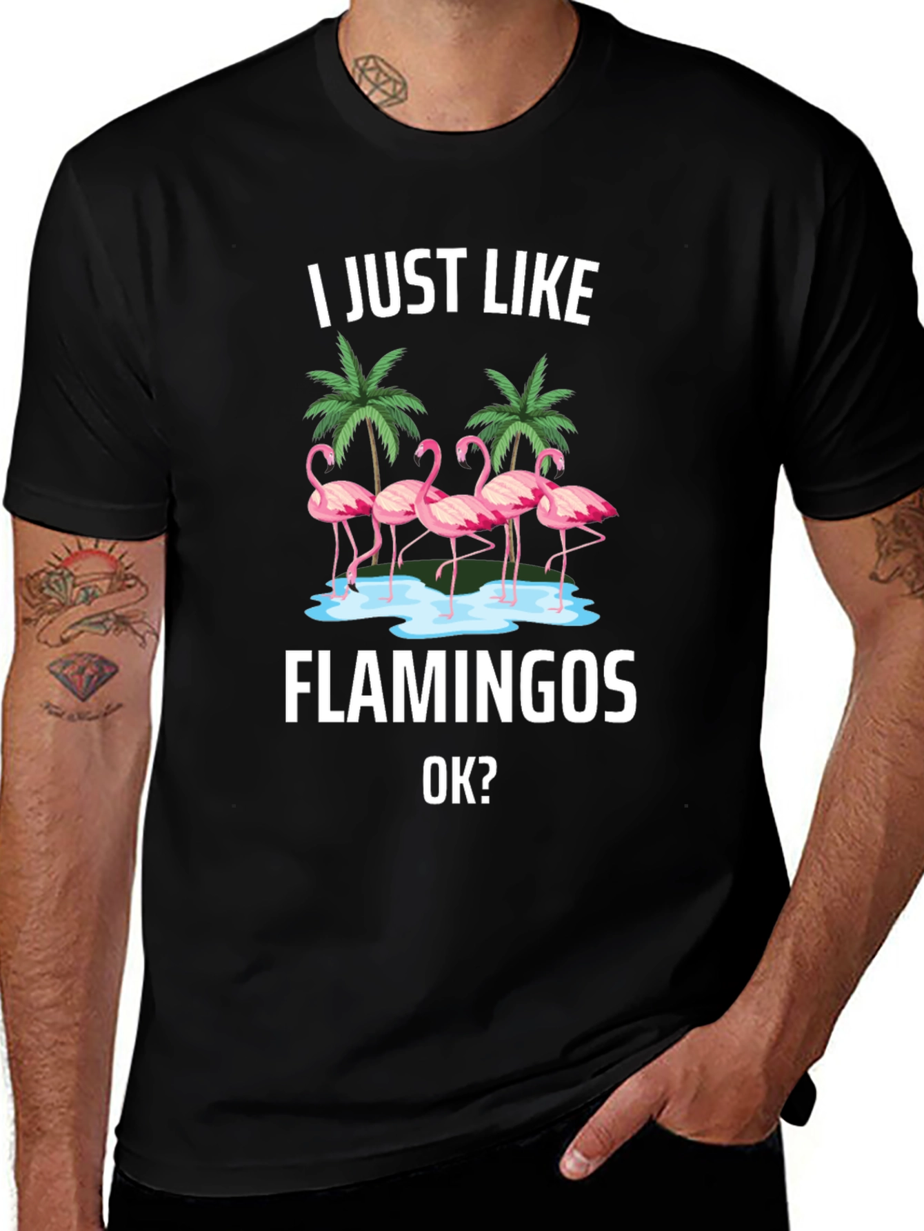 Flamingo Graphic Tee - I Just Like Flamingos T-Shirt