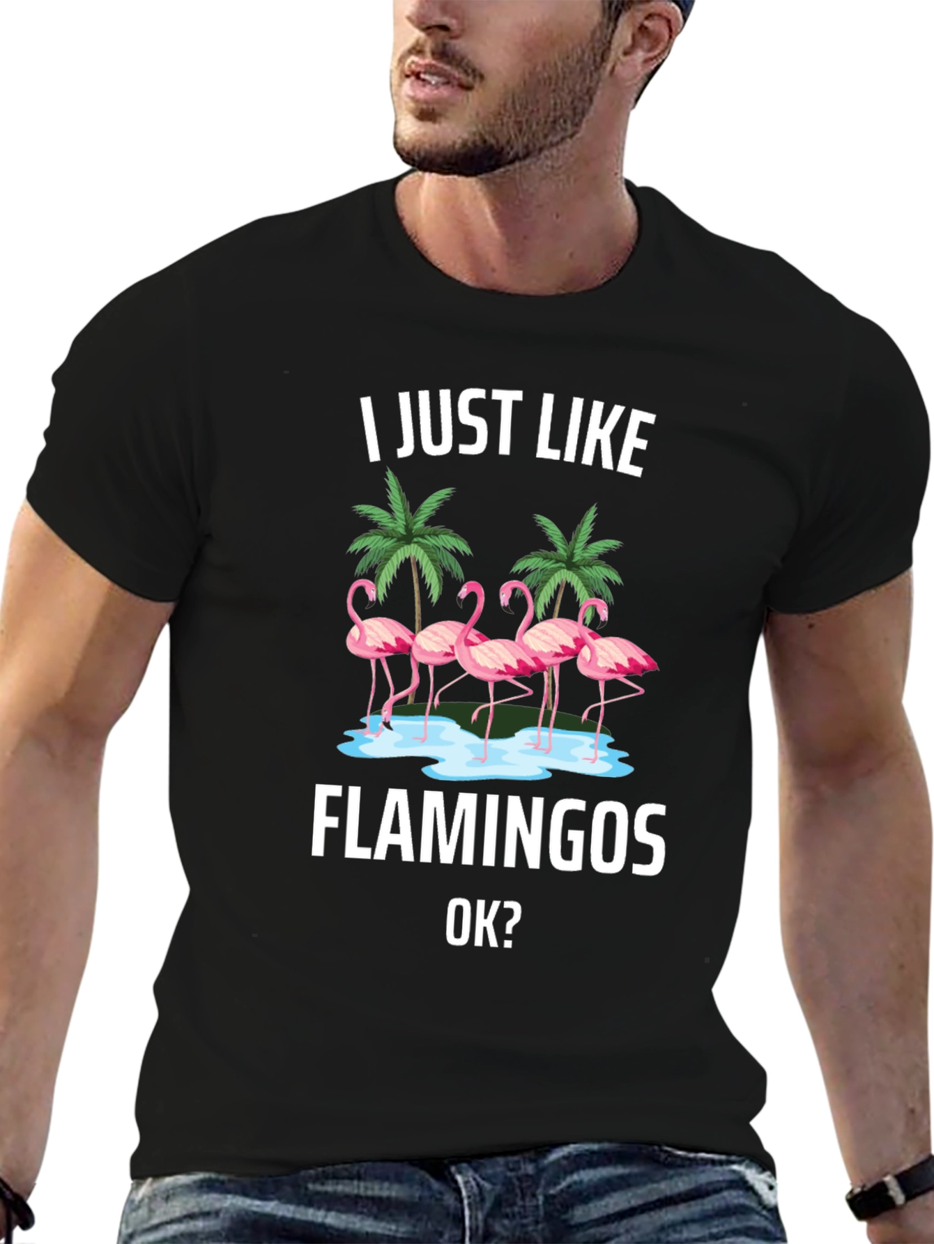 Flamingo Graphic Tee - I Just Like Flamingos T-Shirt
