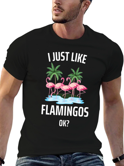 Flamingo Graphic Tee - I Just Like Flamingos T-Shirt