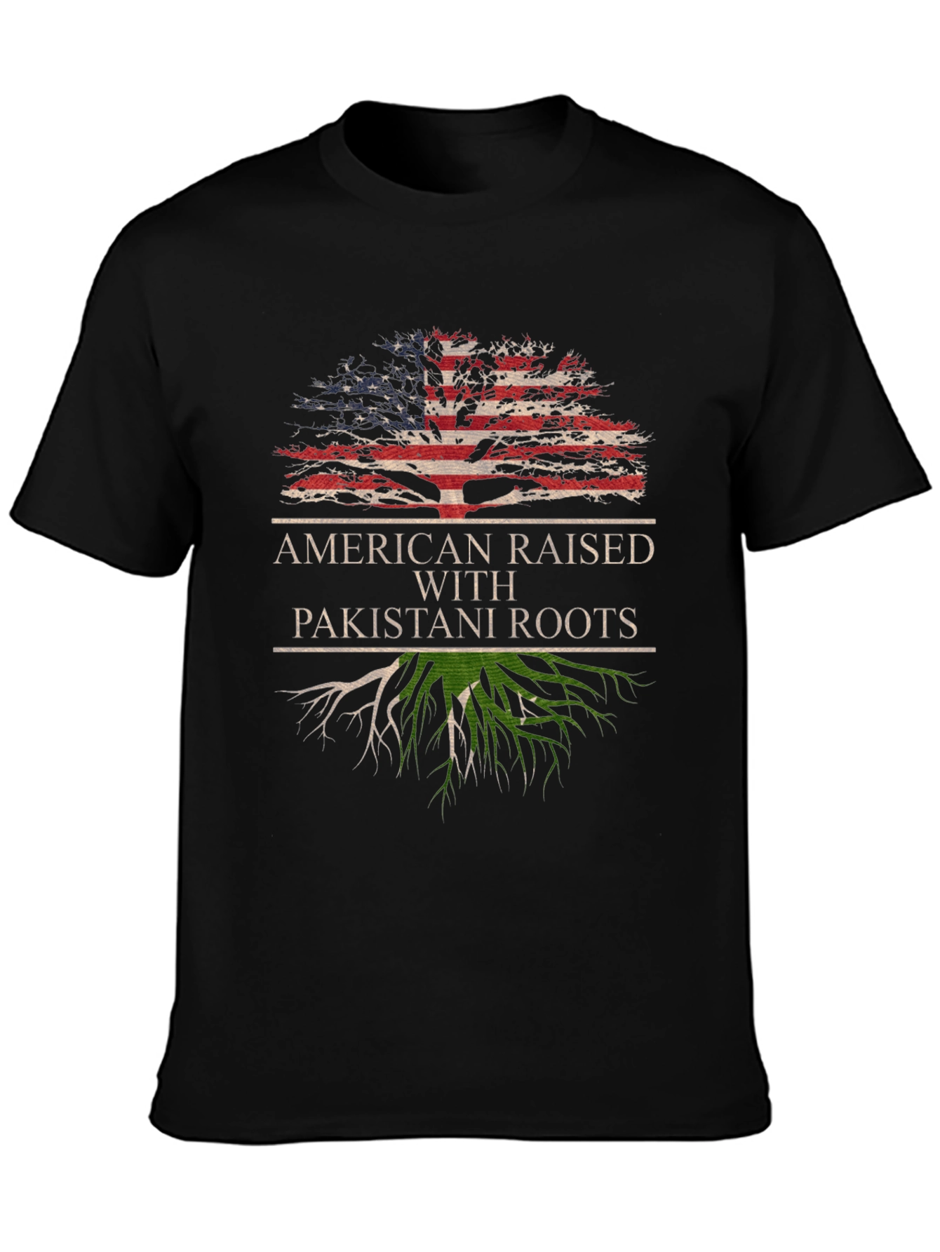 American Raised with Pakistani Roots T-Shirt